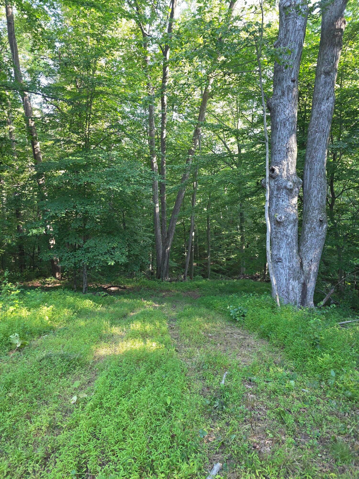 13312 Jake Tom Road Property Photo 27