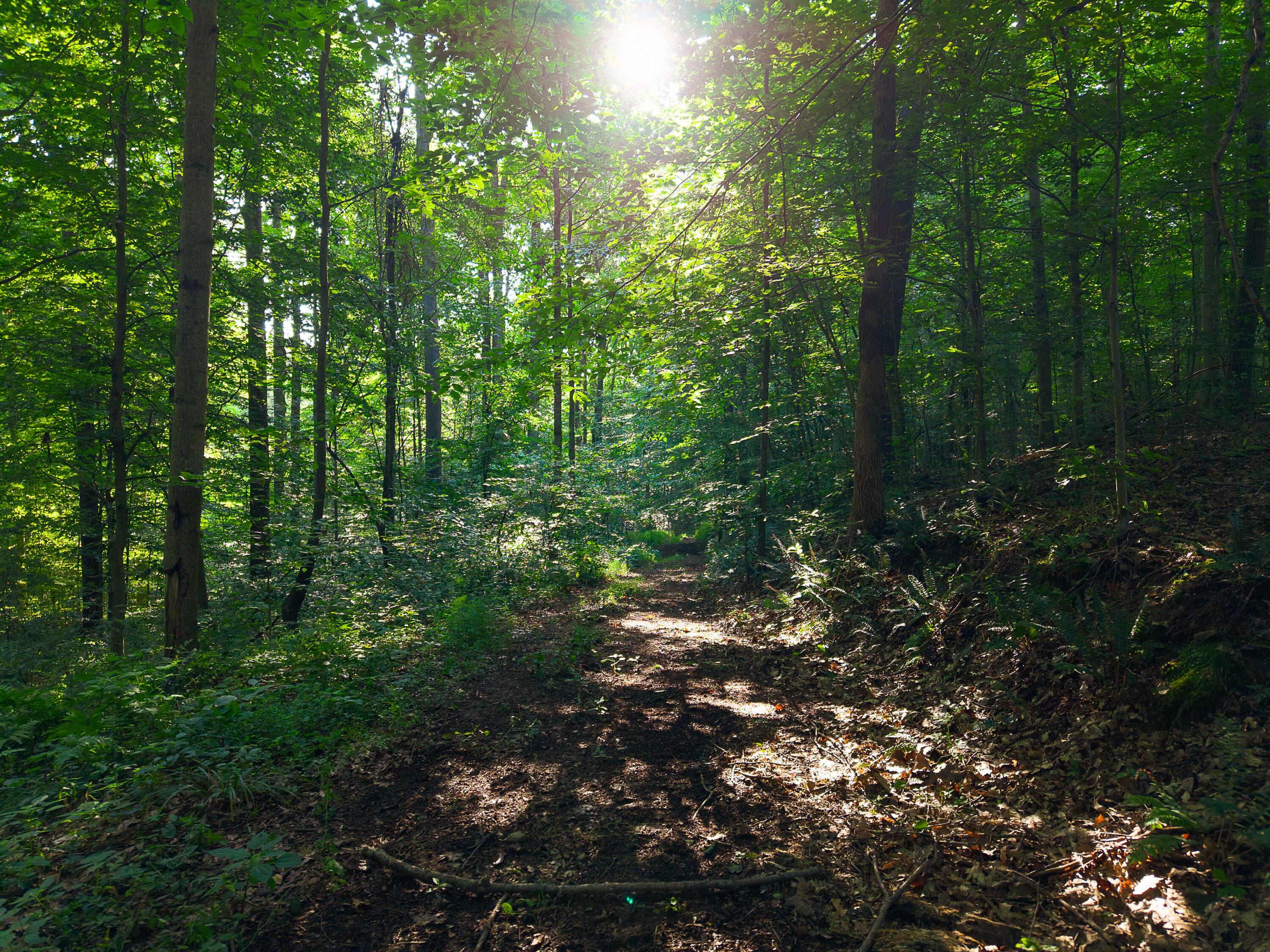 13312 Jake Tom Road Property Photo 28