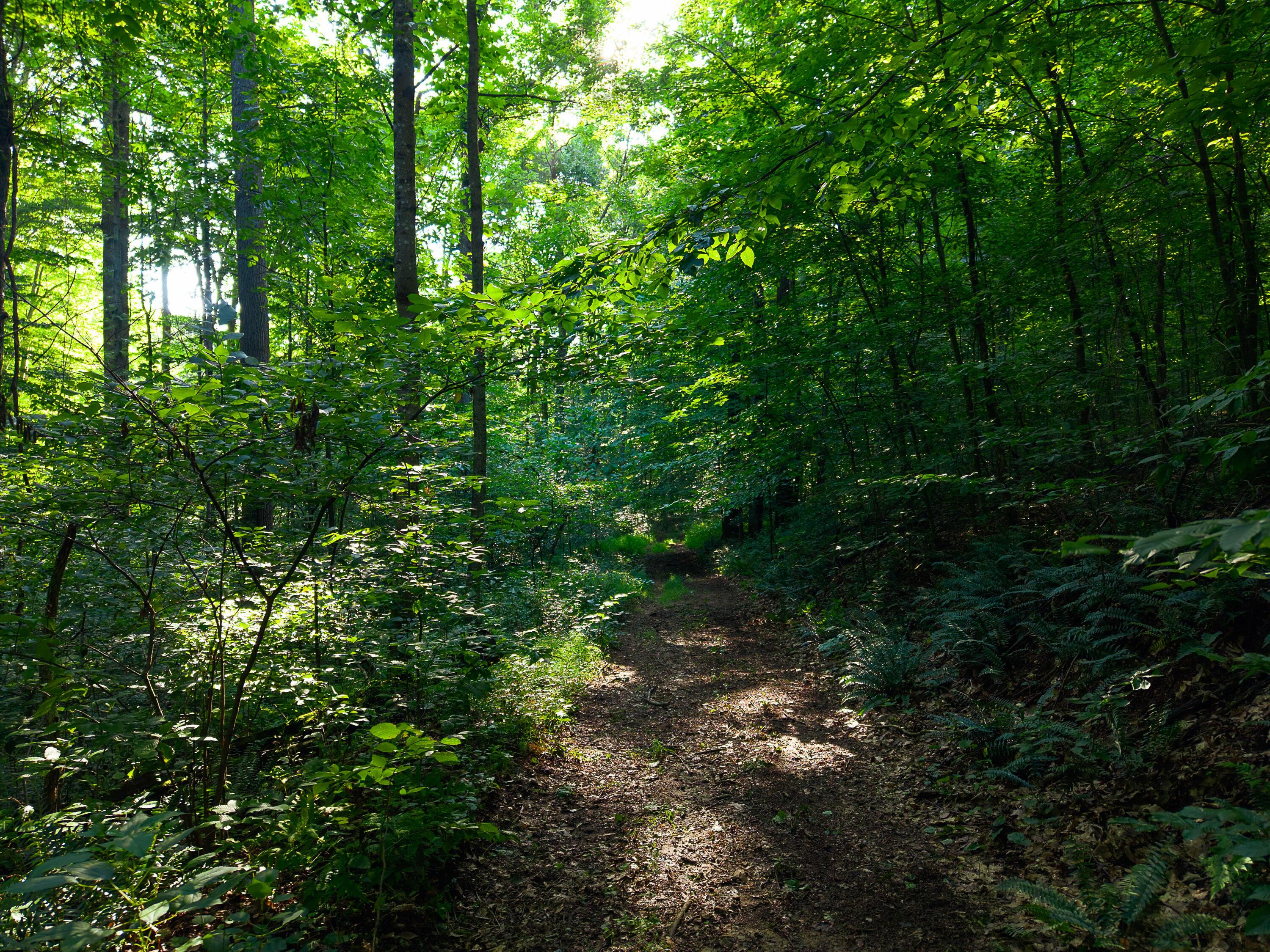 13312 Jake Tom Road Property Photo 30