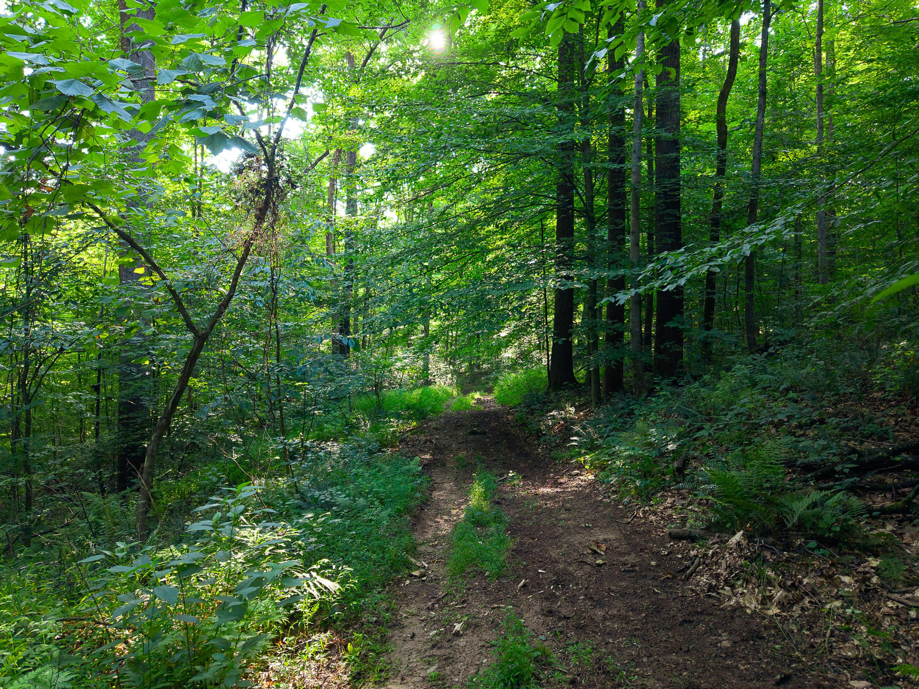 13312 Jake Tom Road Property Photo 30