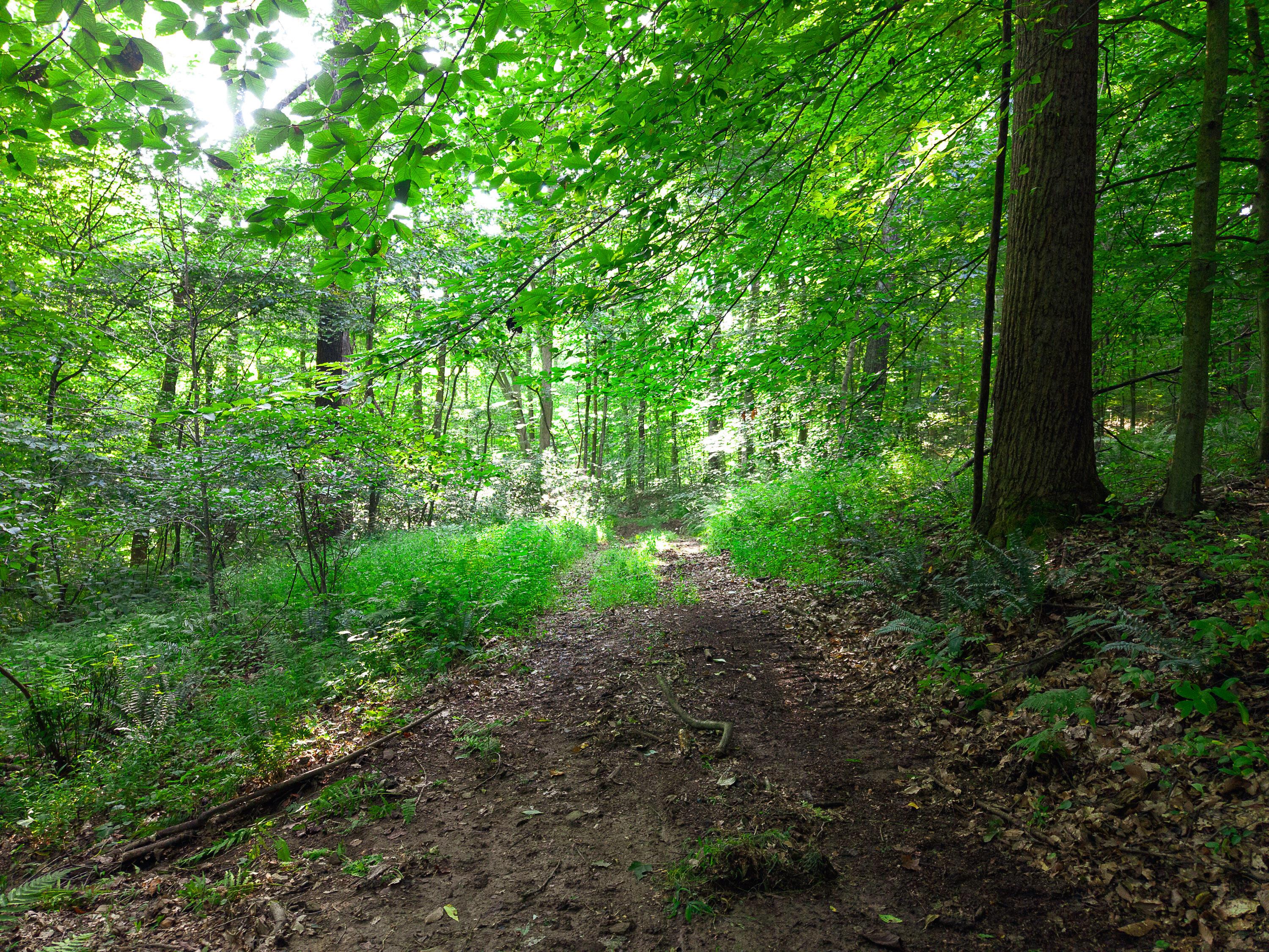 13312 Jake Tom Road Property Photo 31