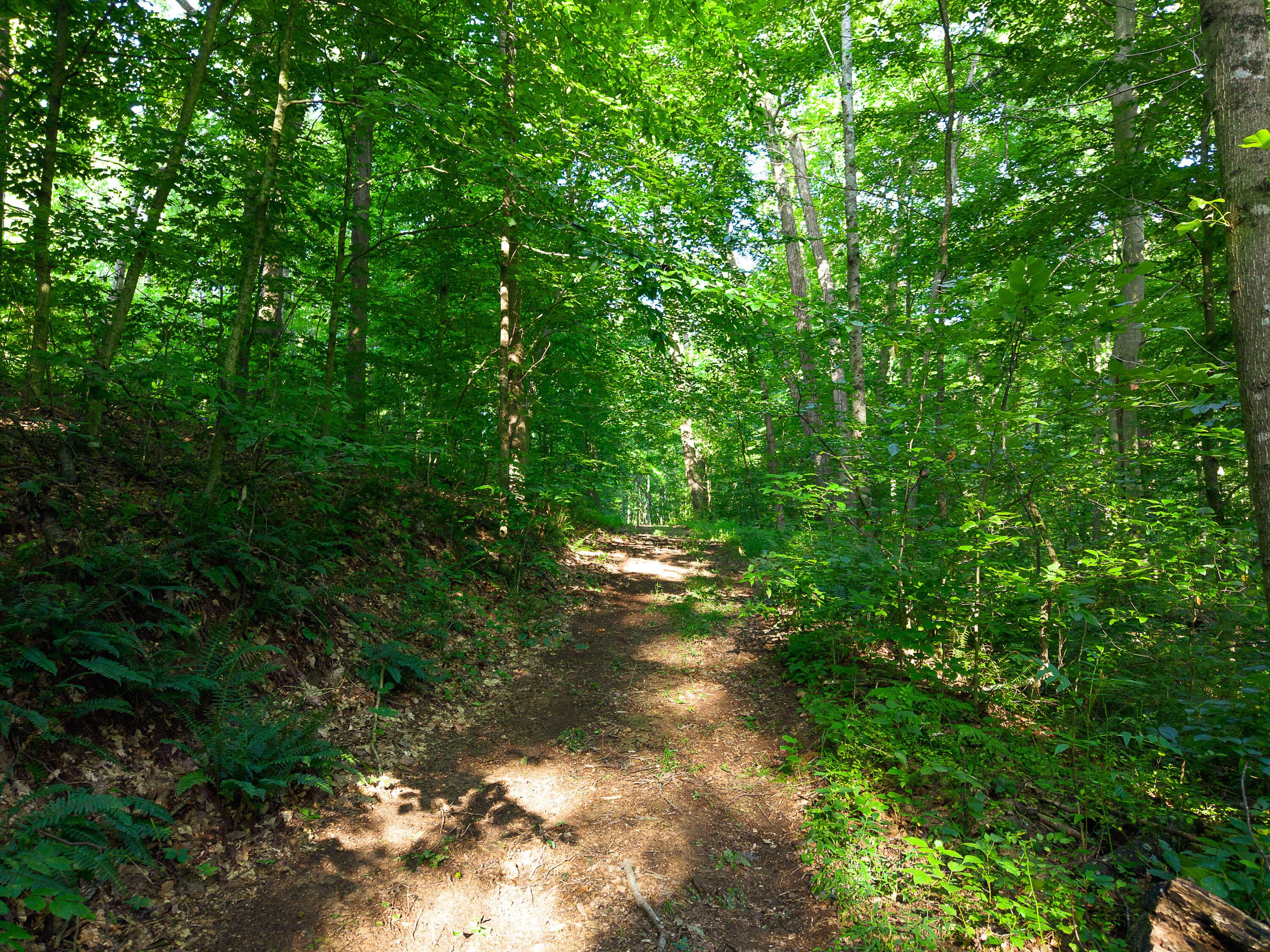 13312 Jake Tom Road Property Photo 32