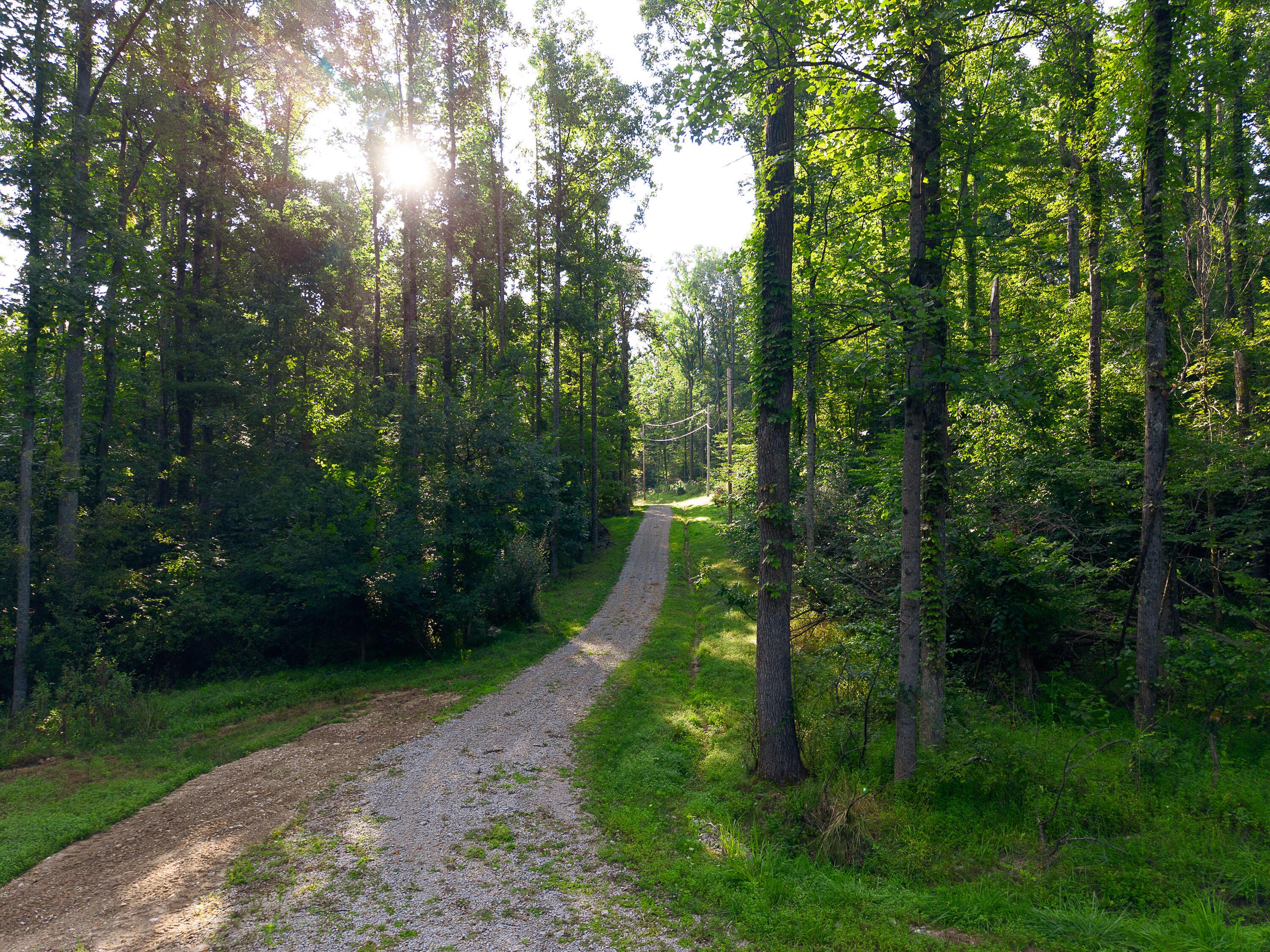 13312 Jake Tom Road Property Photo 45