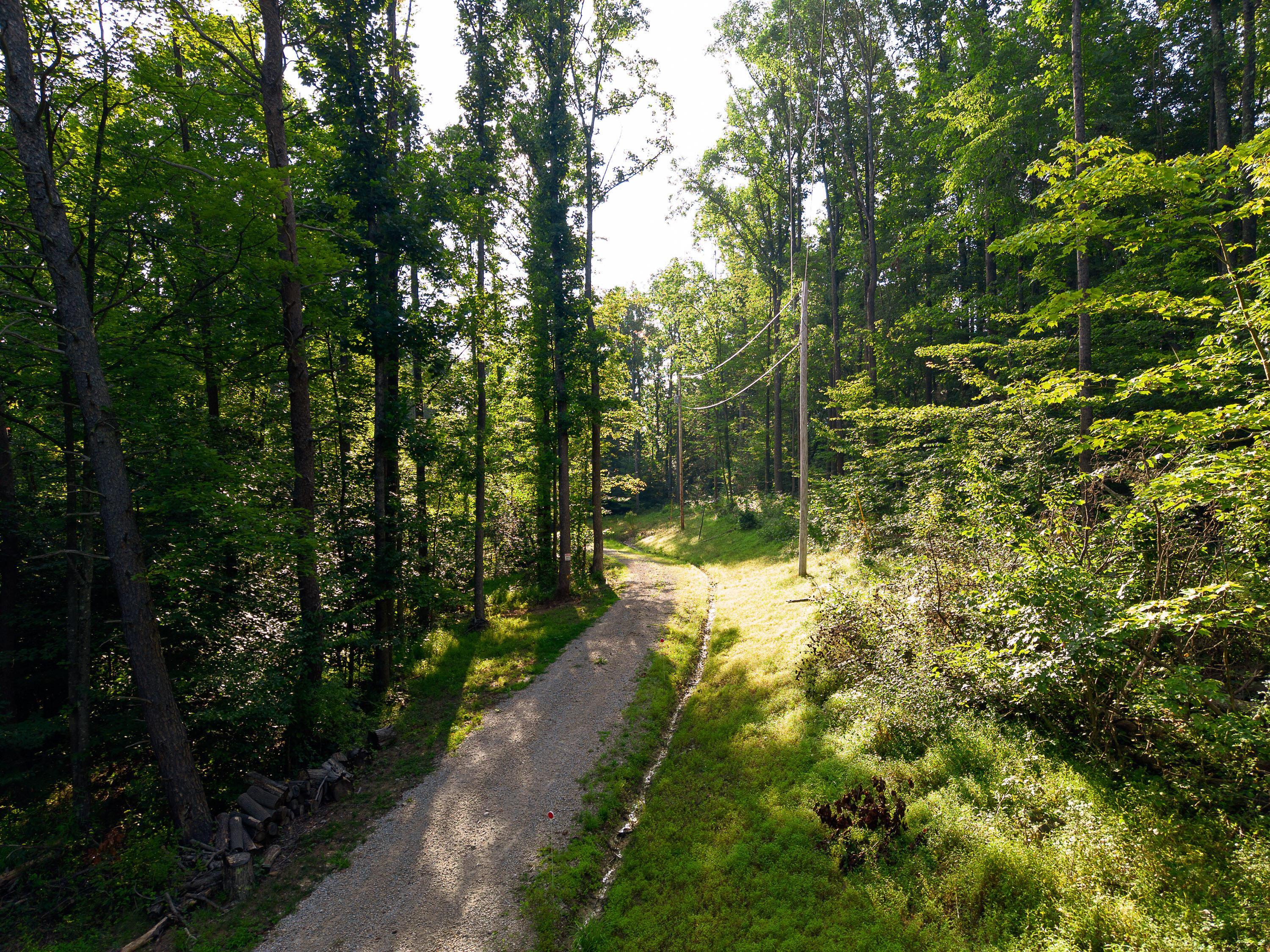 13312 Jake Tom Road Property Photo 47