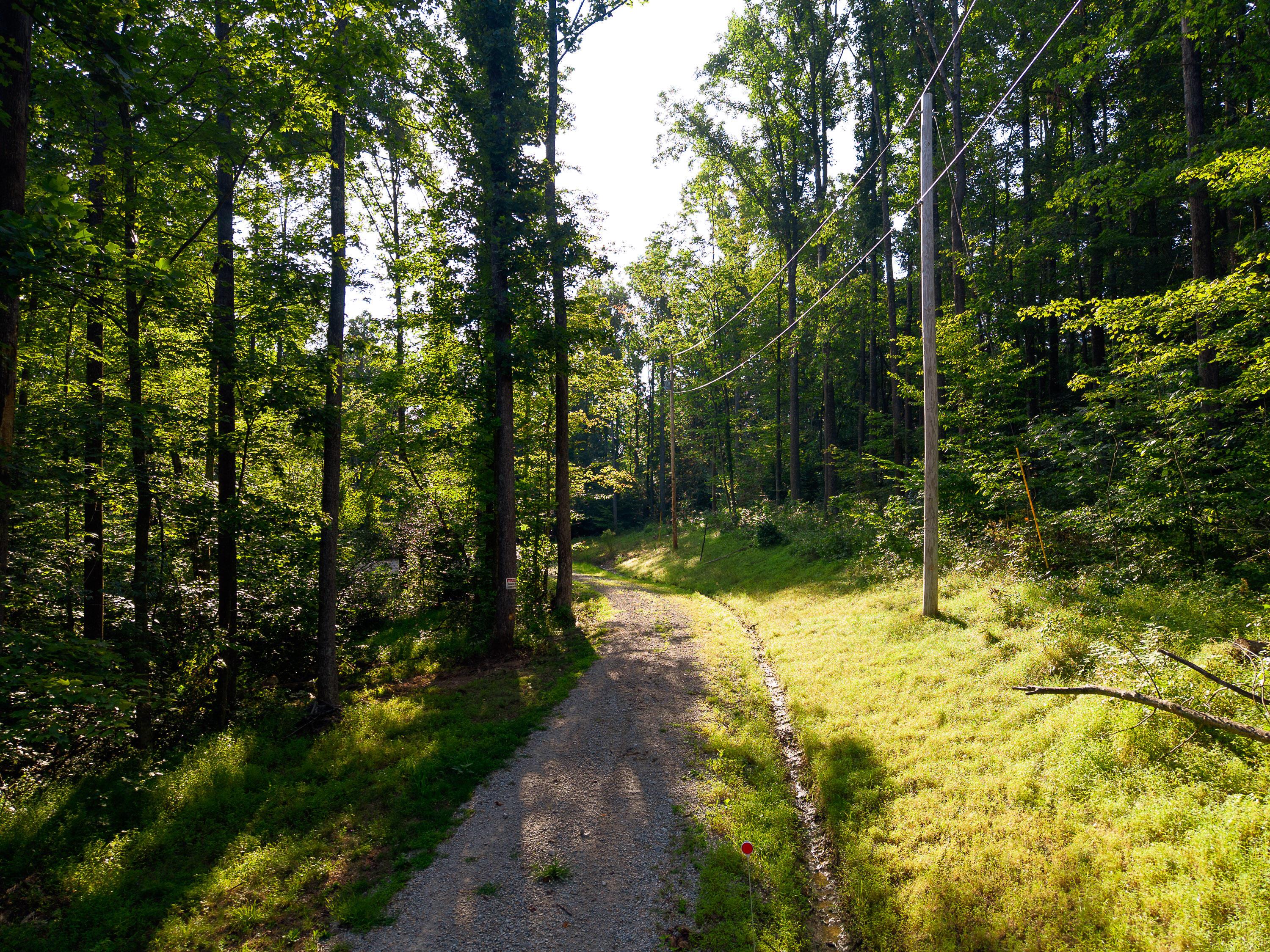 13312 Jake Tom Road Property Photo 48