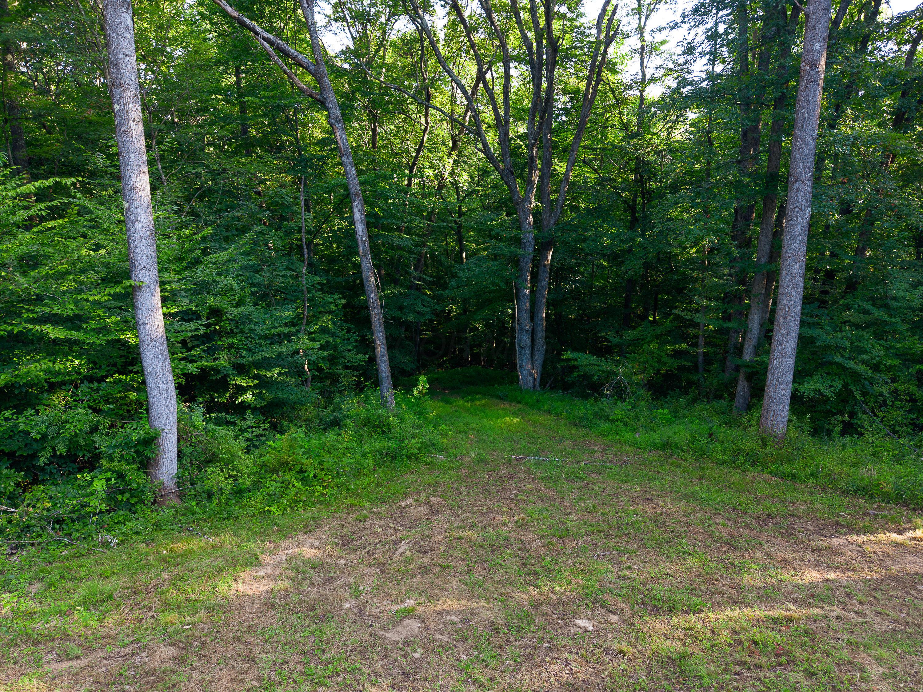 13312 Jake Tom Road Property Photo 50