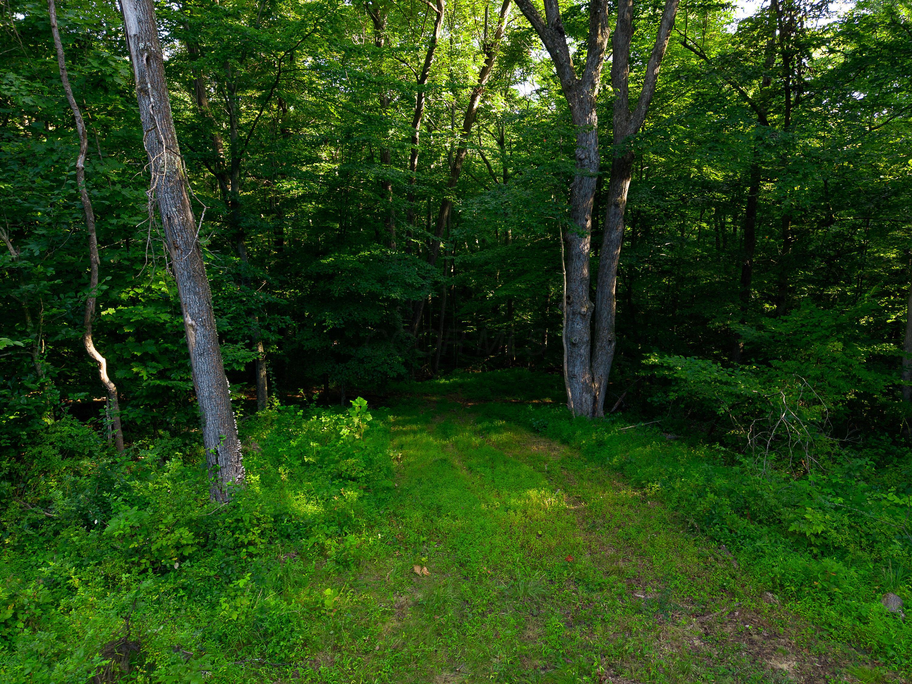 13312 Jake Tom Road Property Photo 52