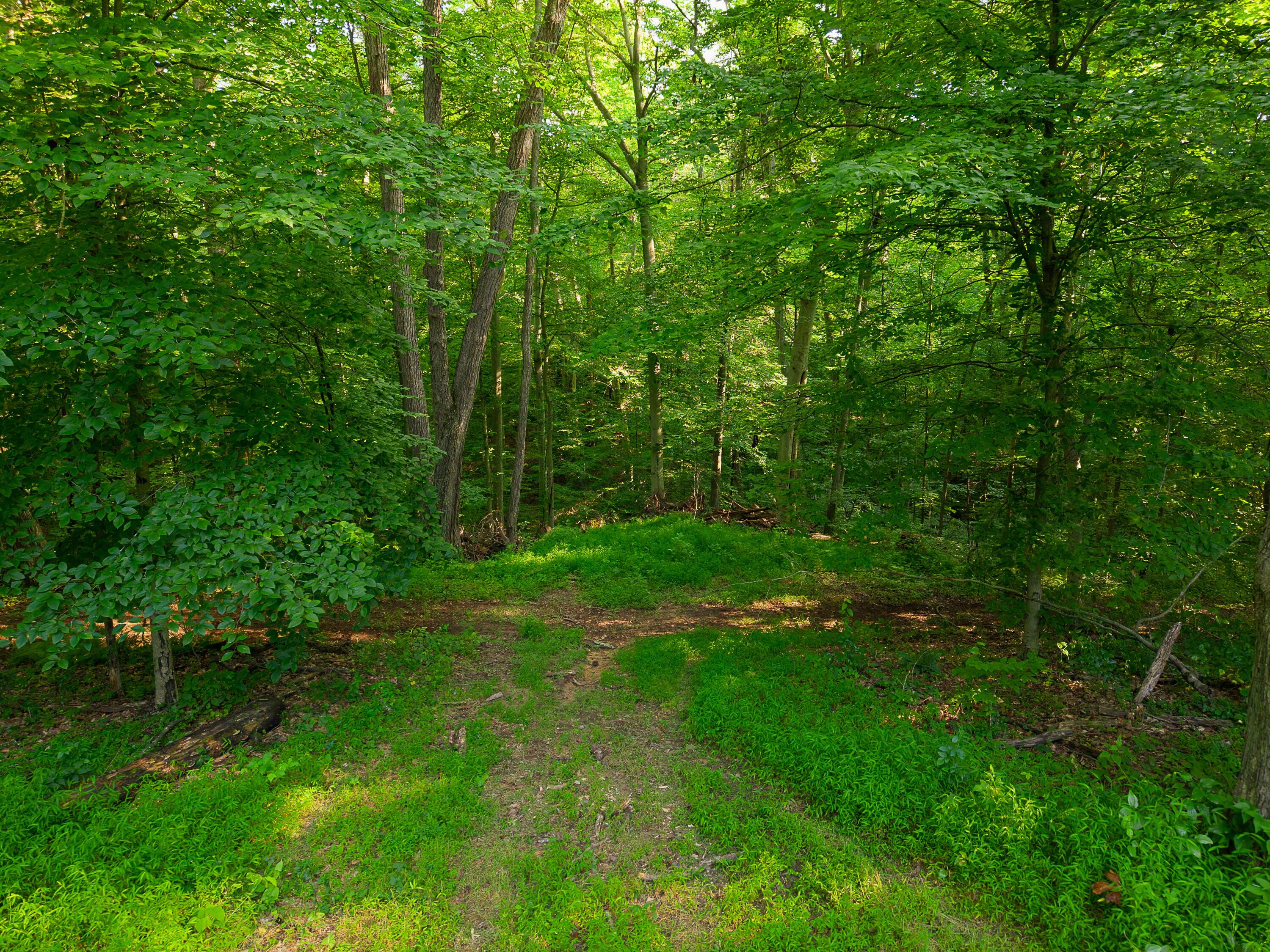 13312 Jake Tom Road Property Photo 52