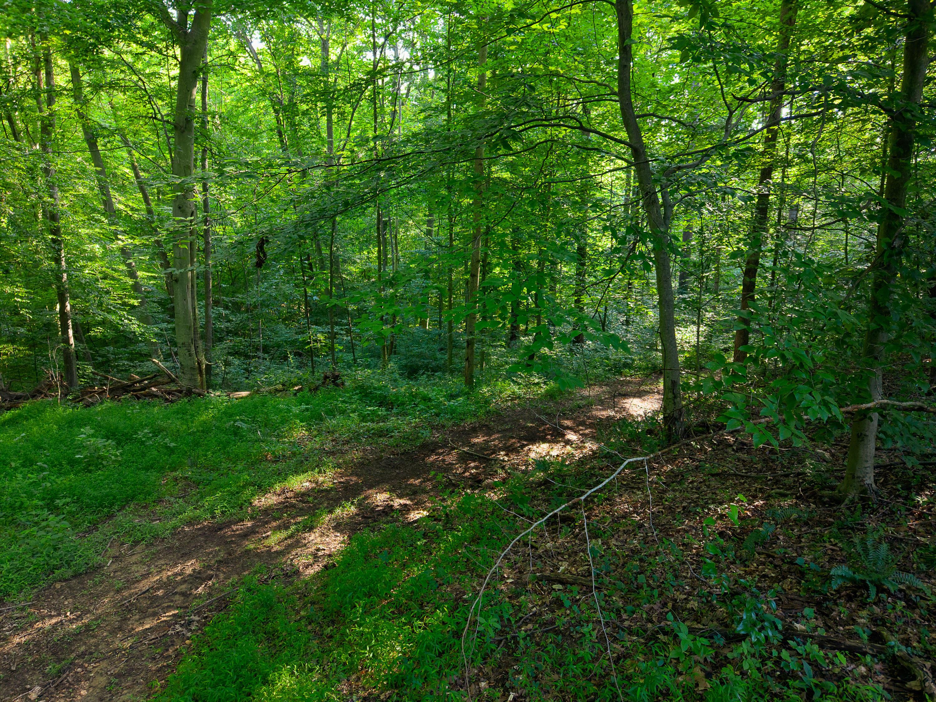 13312 Jake Tom Road Property Photo 53