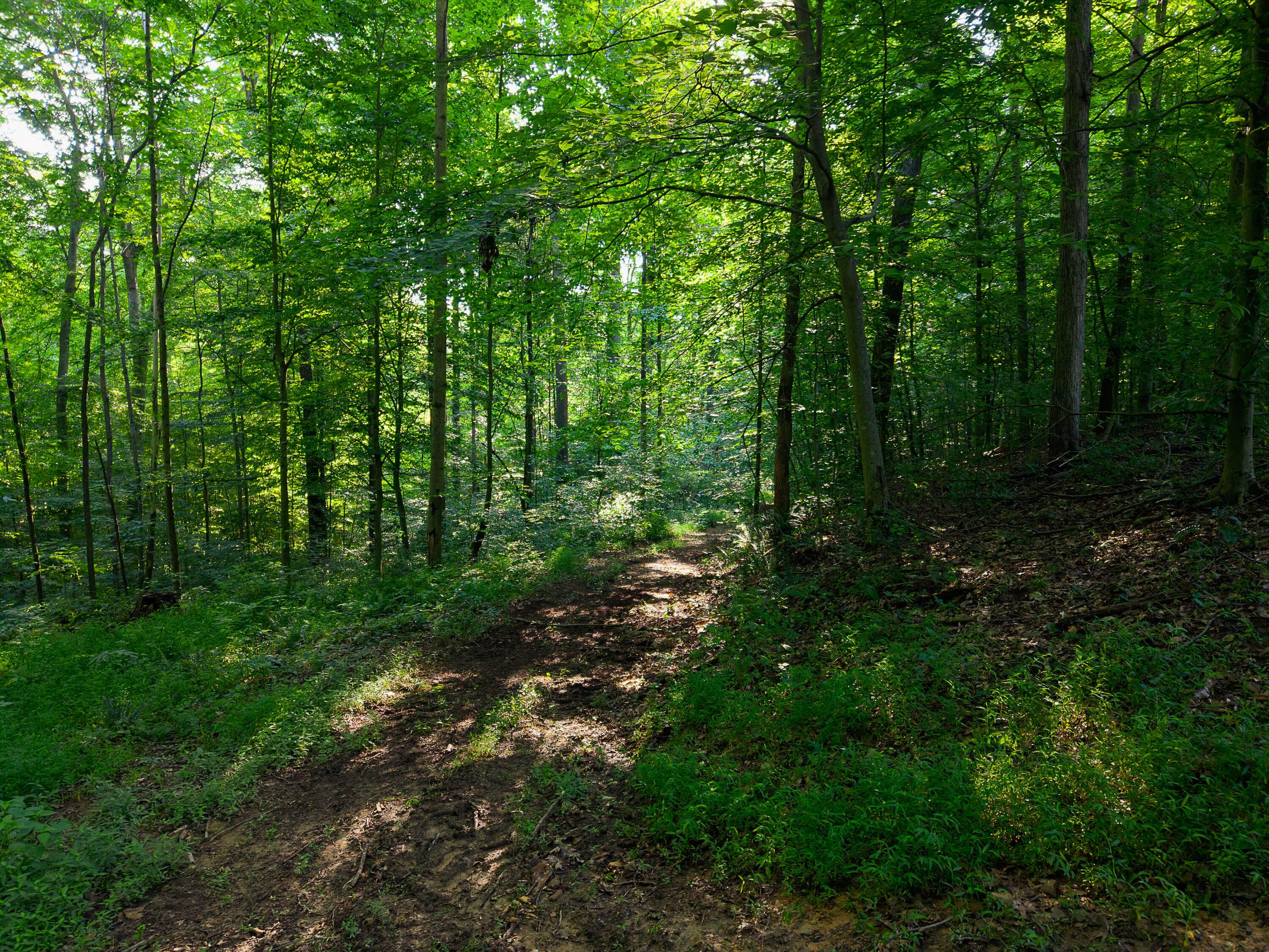 13312 Jake Tom Road Property Photo 54