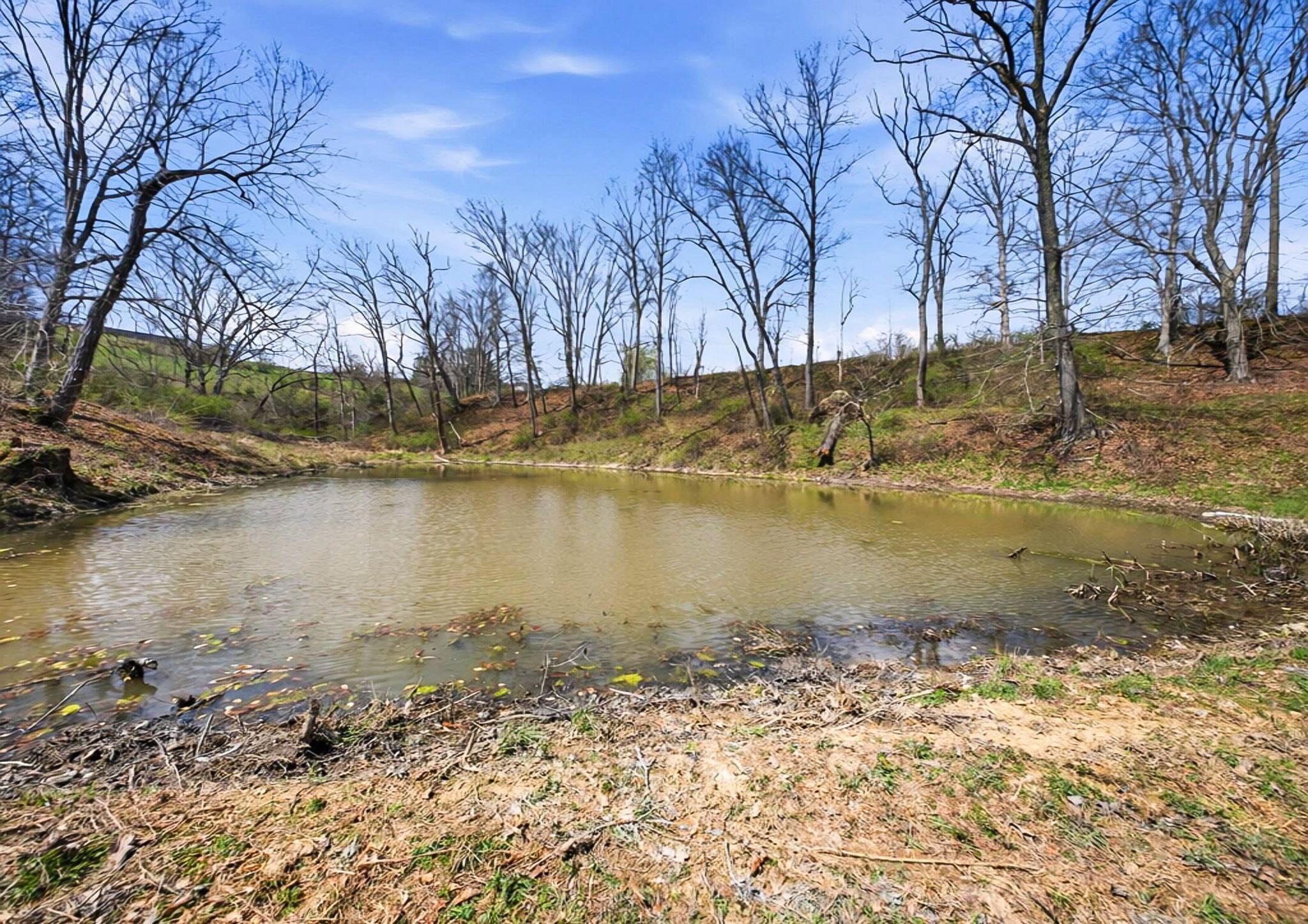 0 State Rt 13 Se Property Photo 18