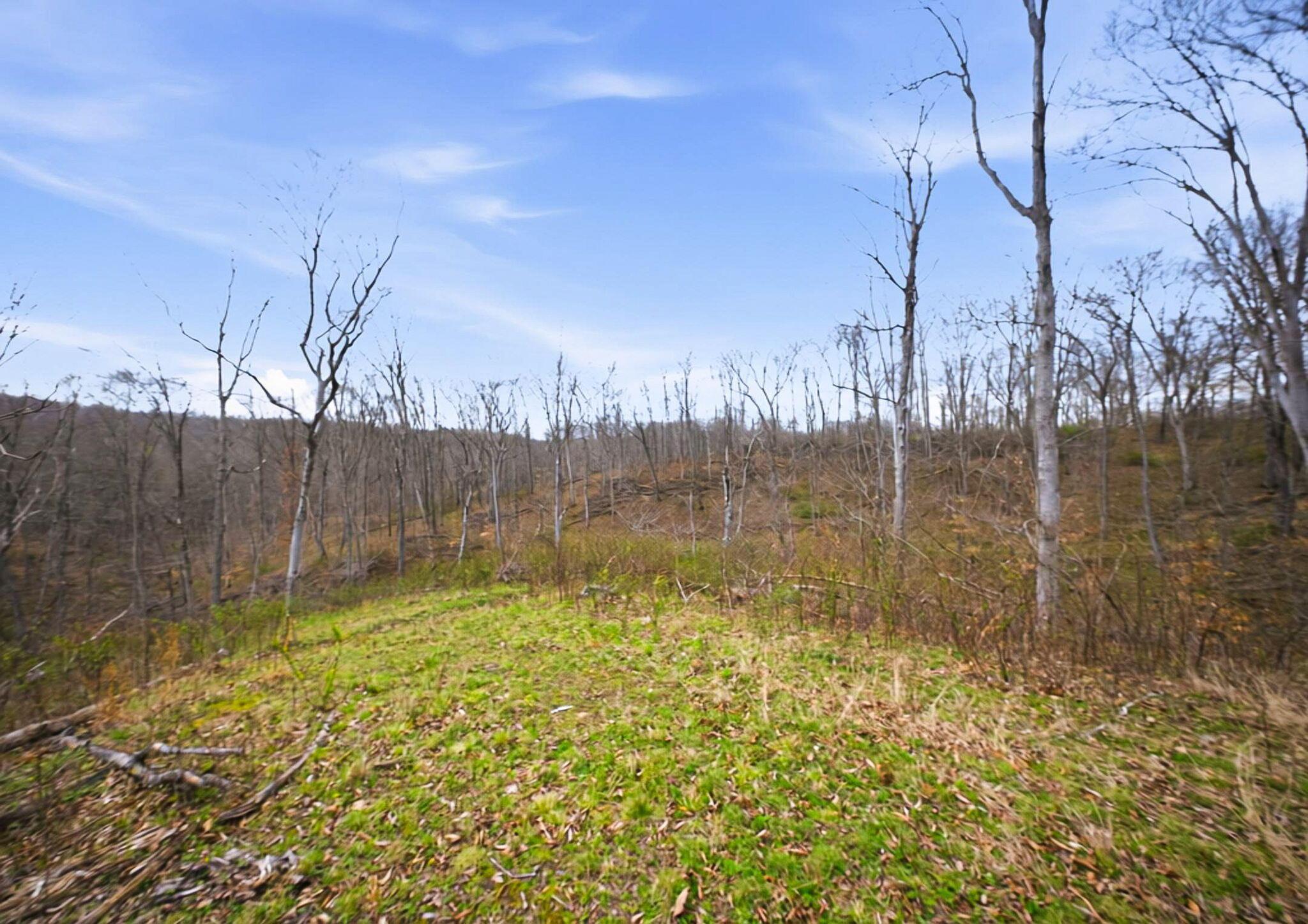 0 State Route 13 Se Property Photo 1
