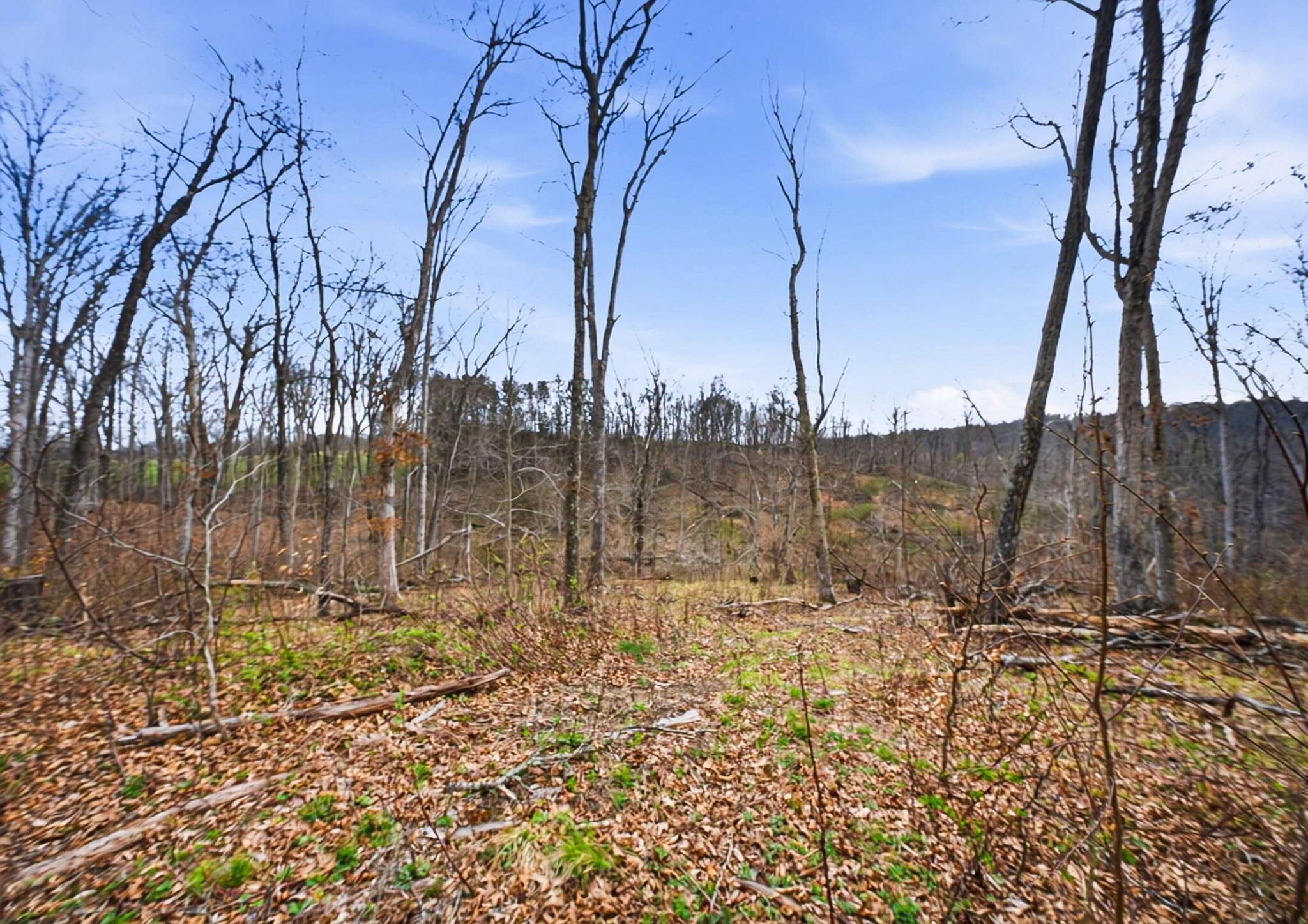 0 State Route 13 Se Property Photo 2