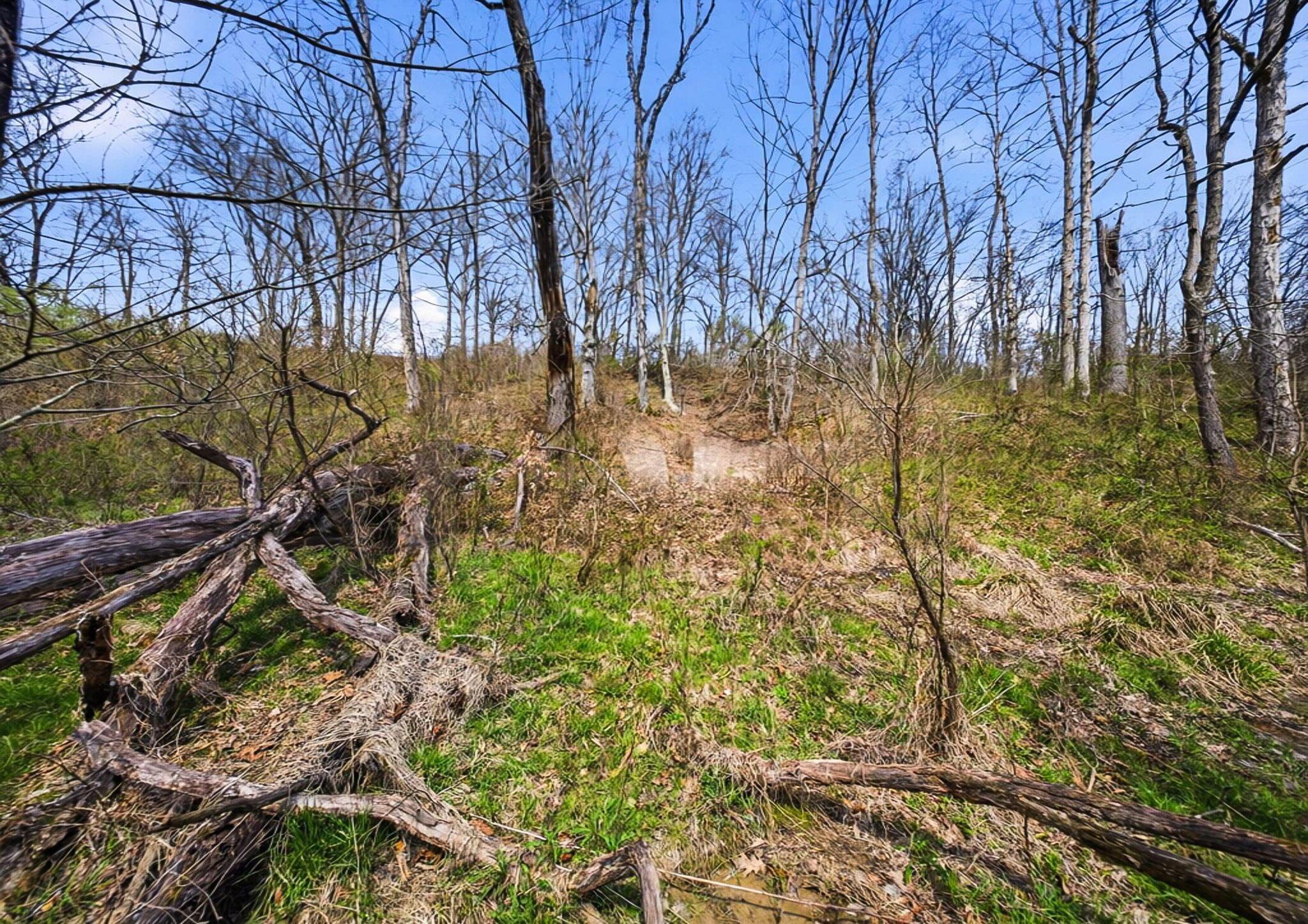0 State Route 13 Se Property Photo 1
