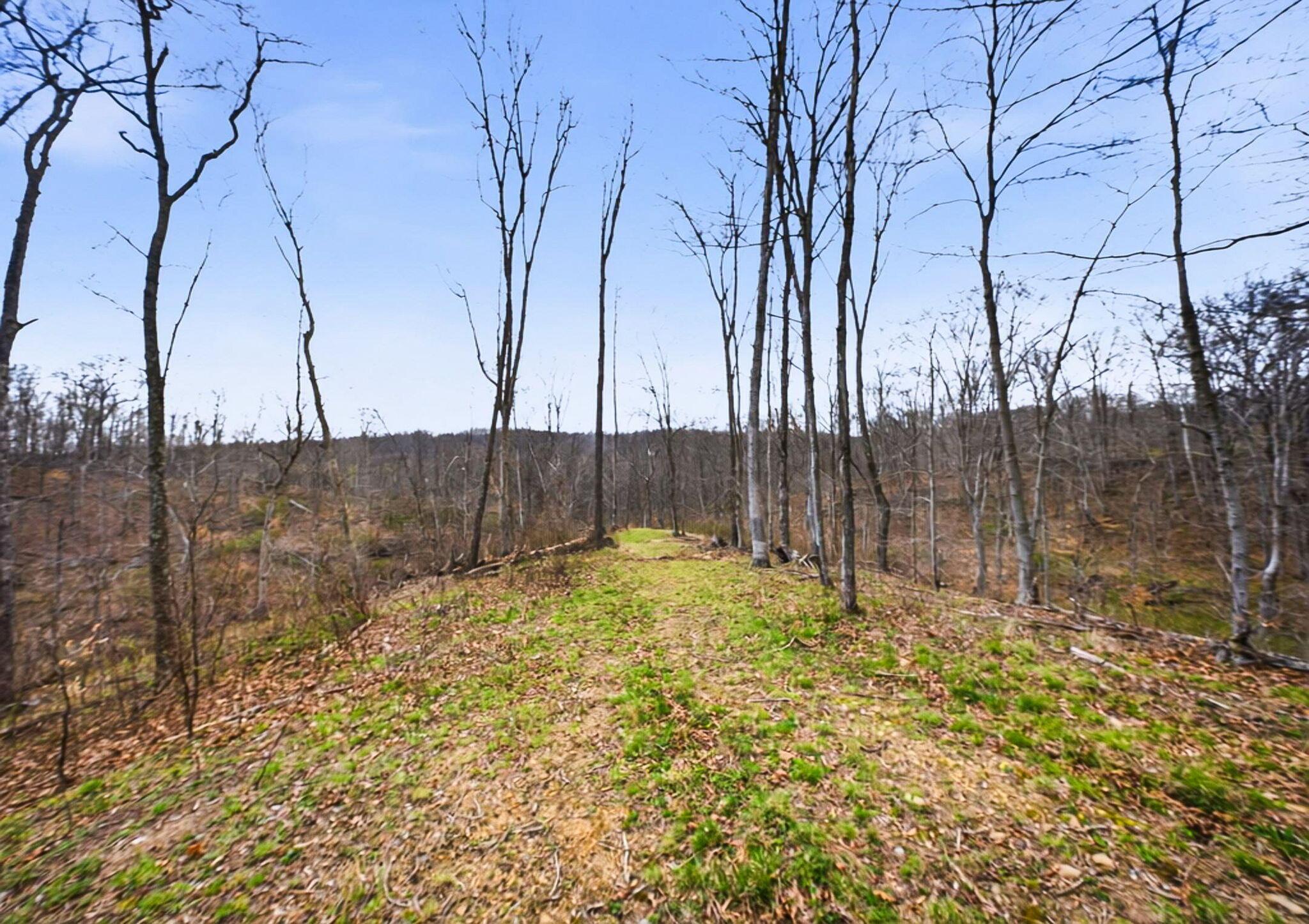 0 State Route 13 Se Property Photo 3