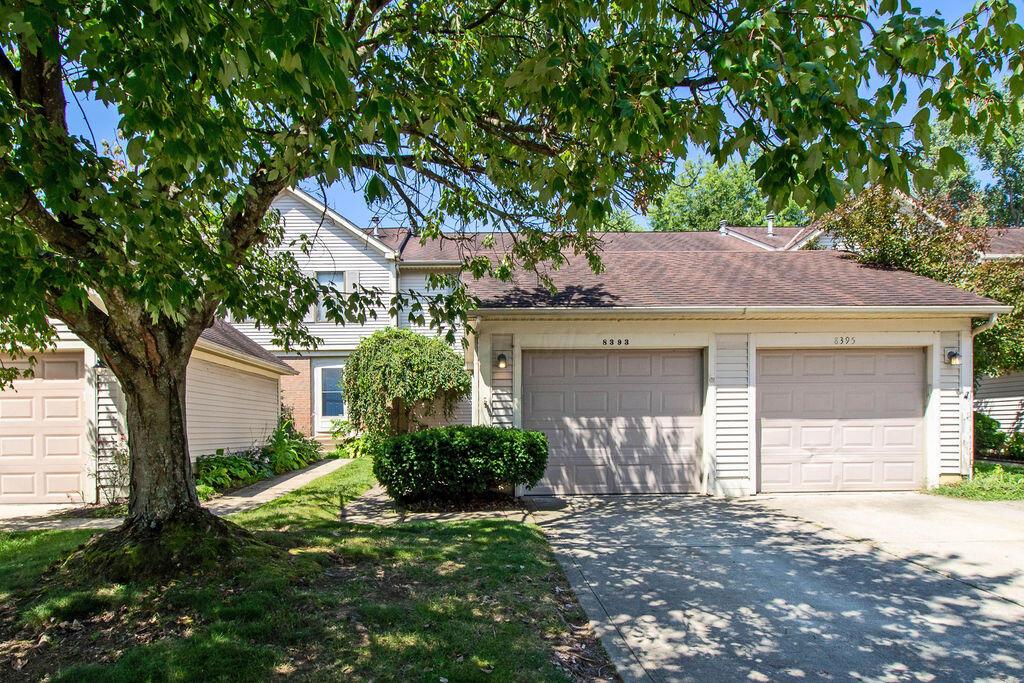 8393 Cliffthorne Way Property Photo 5
