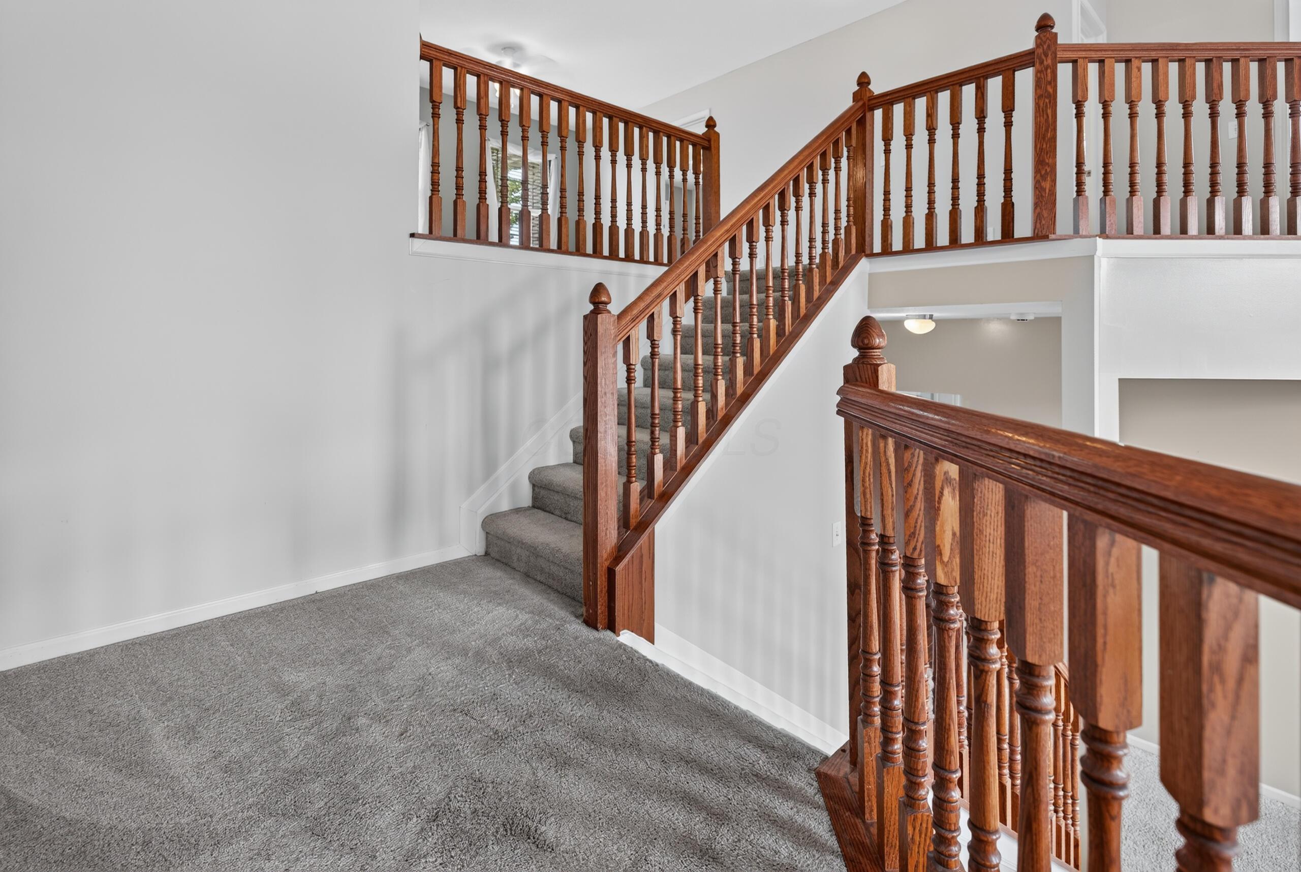 183 Cherrytree Lane Property Photo 23