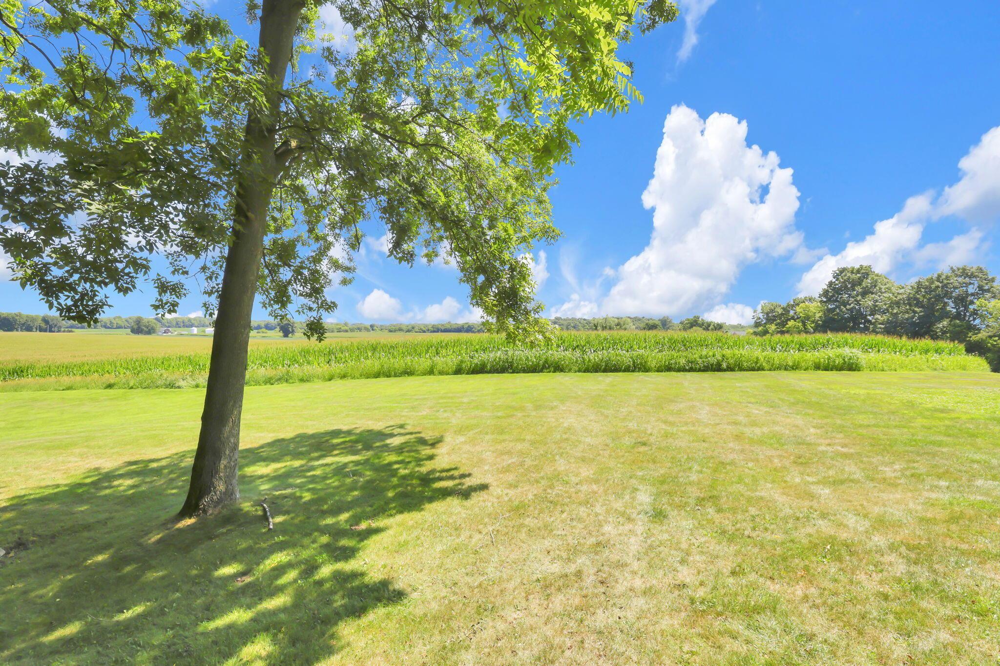 6009 Hall Road Property Photo 54
