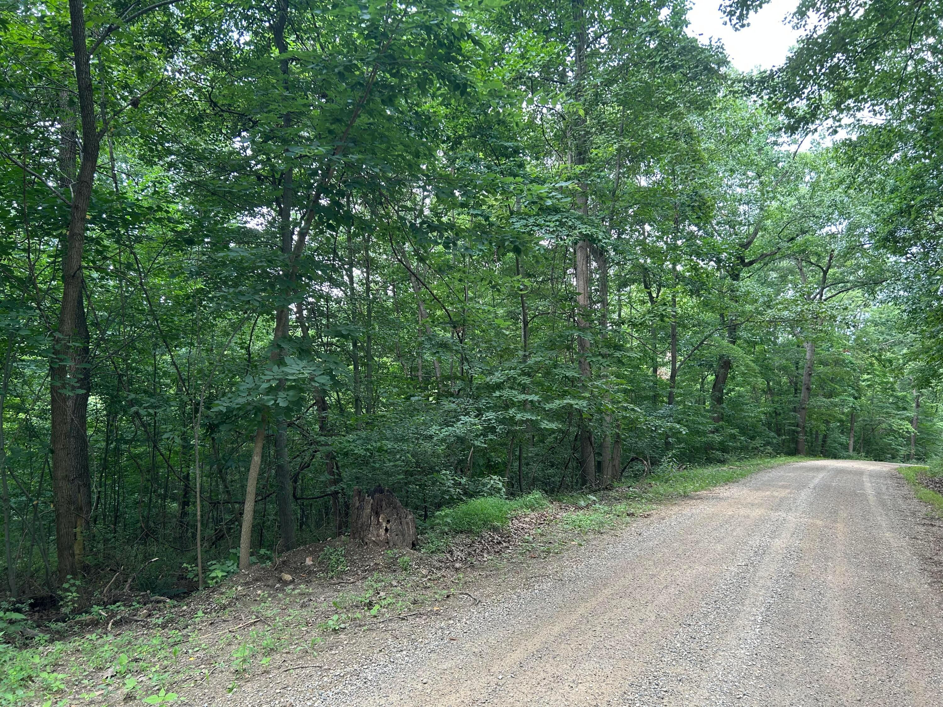 0 Staats Road Property Photo 1