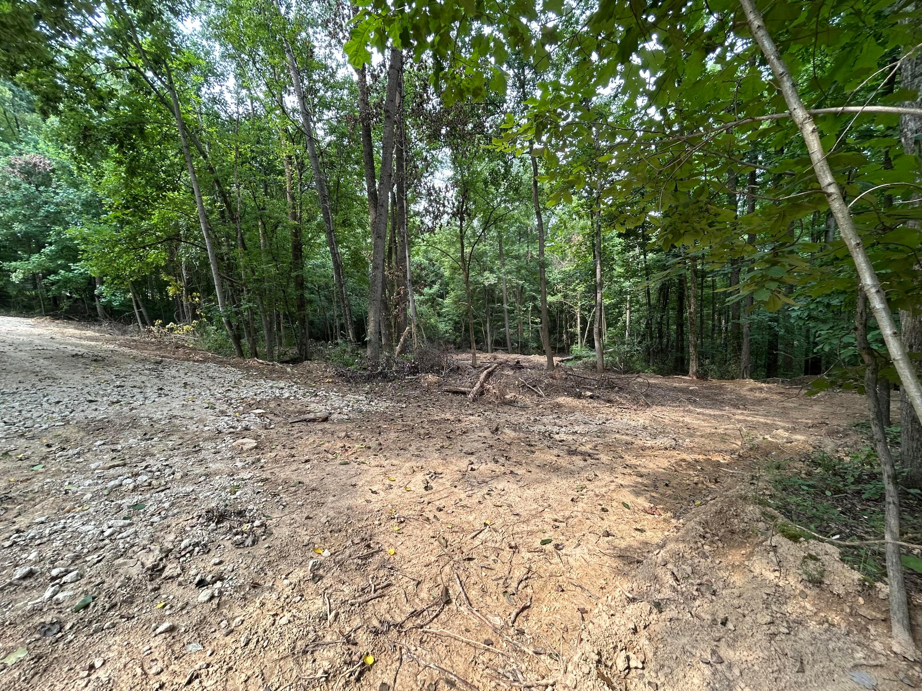 29870 Staats Road Property Photo 5