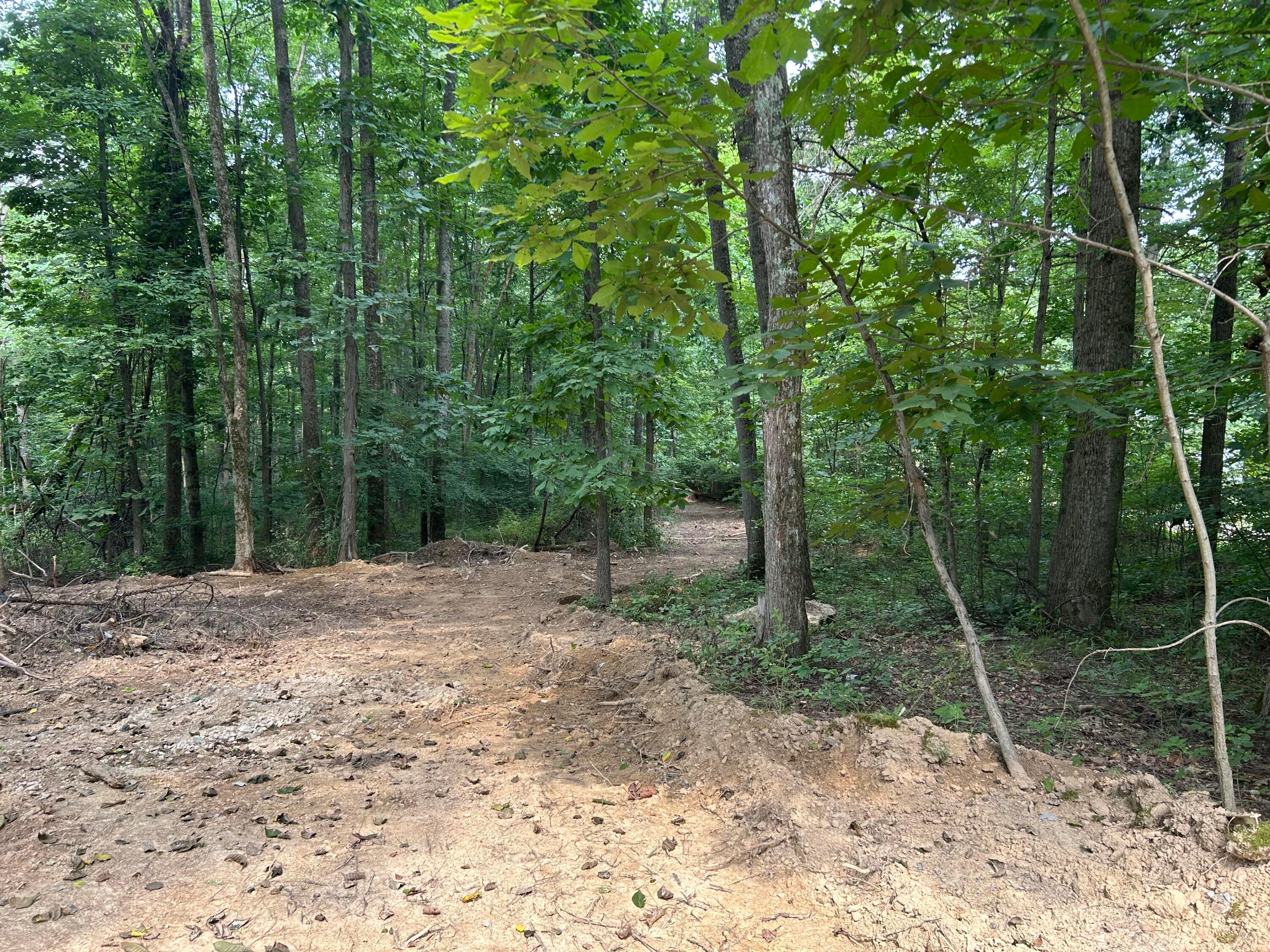 29870 Staats Road Property Photo 8