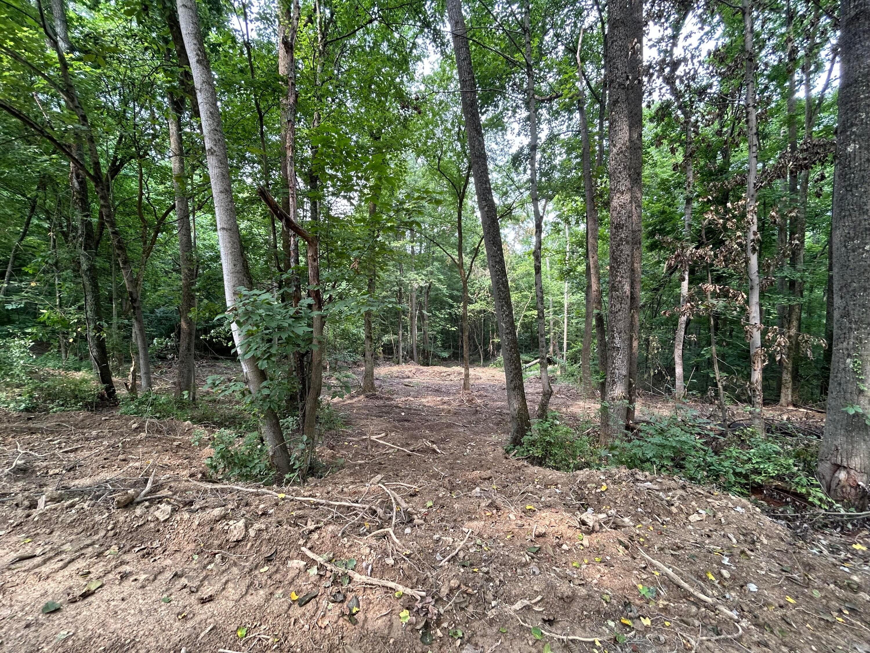 29870 Staats Road Property Photo 9