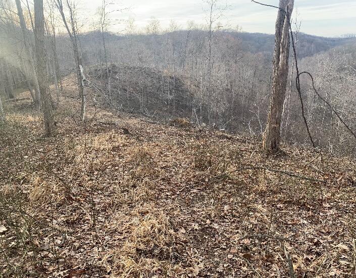 1308 Carrs Run Road Property Photo 3