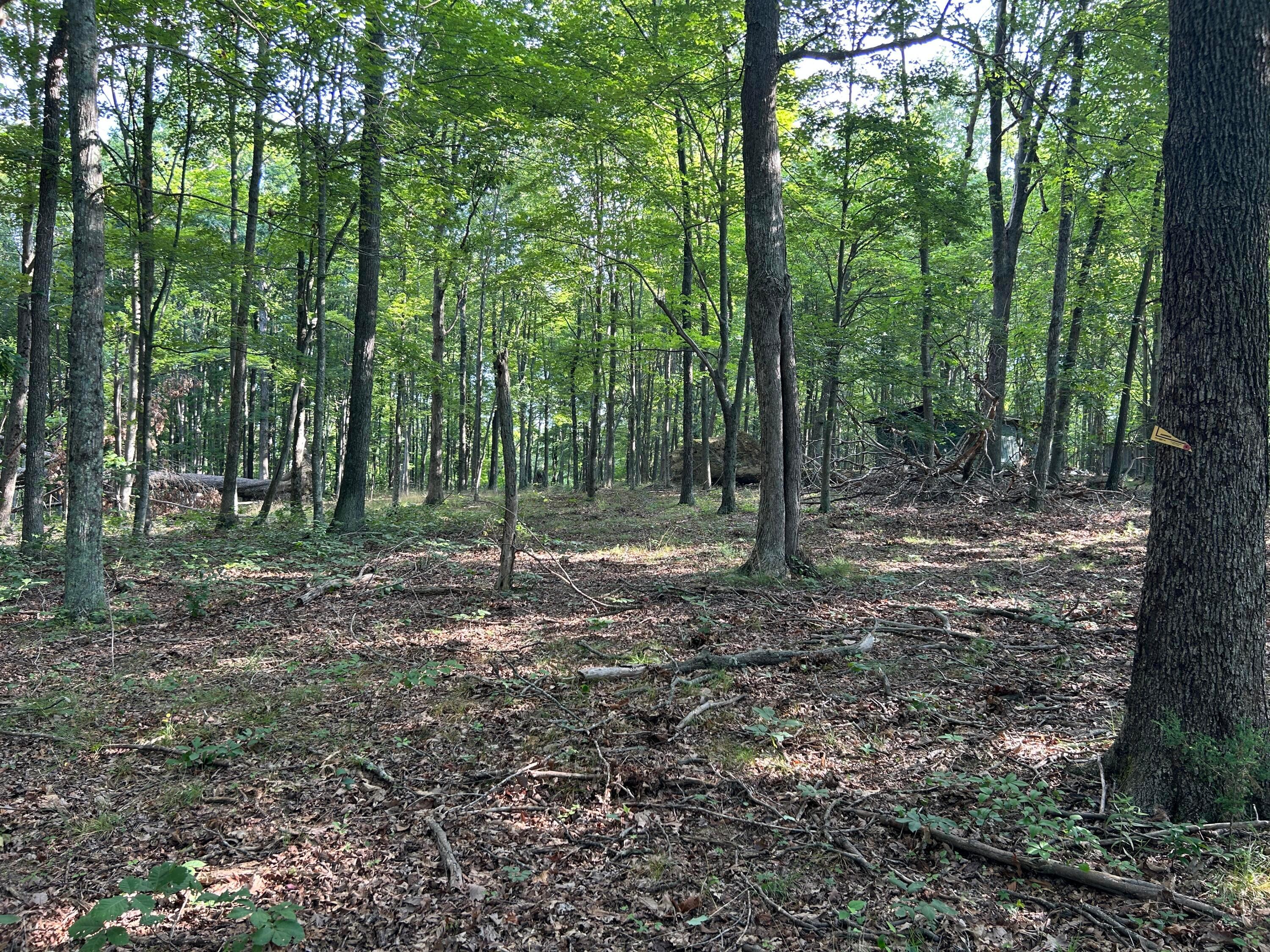 6741 Big Spruce Little Bear Road Property Photo 6