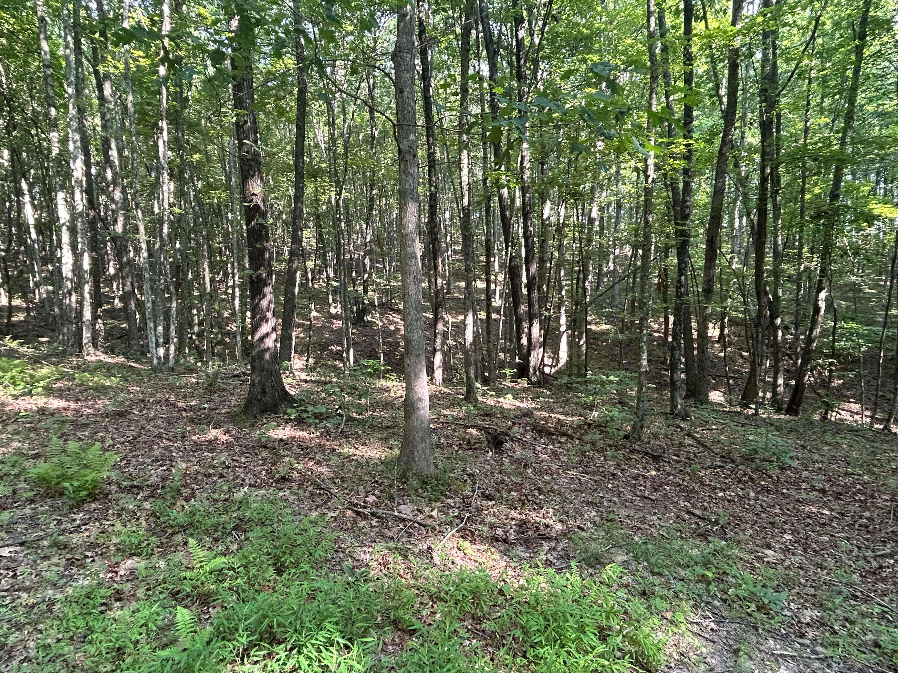 6741 Big Spruce Little Bear Road Property Photo 19