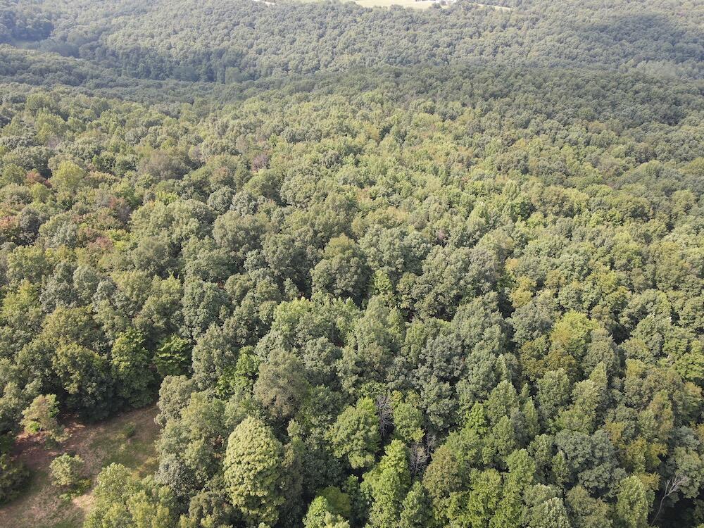6741 Big Spruce Little Bear Road Property Photo 37