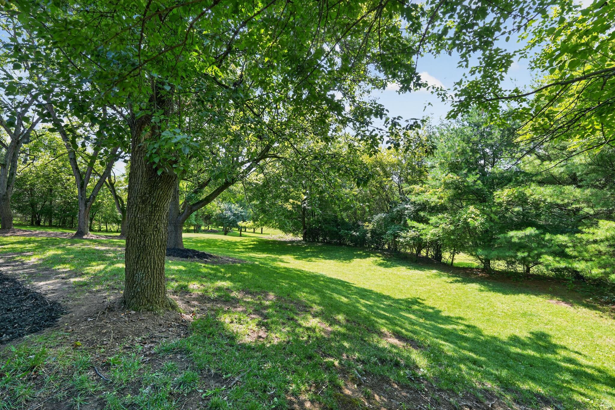 620 Pollock Road Property Photo 64