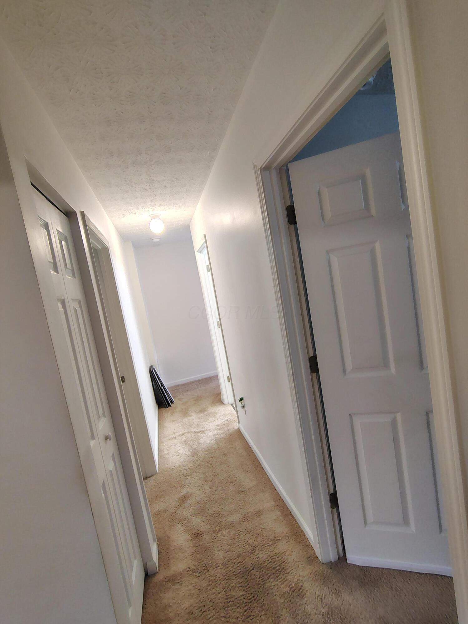 5888 Abernathy Lane Property Photo 15
