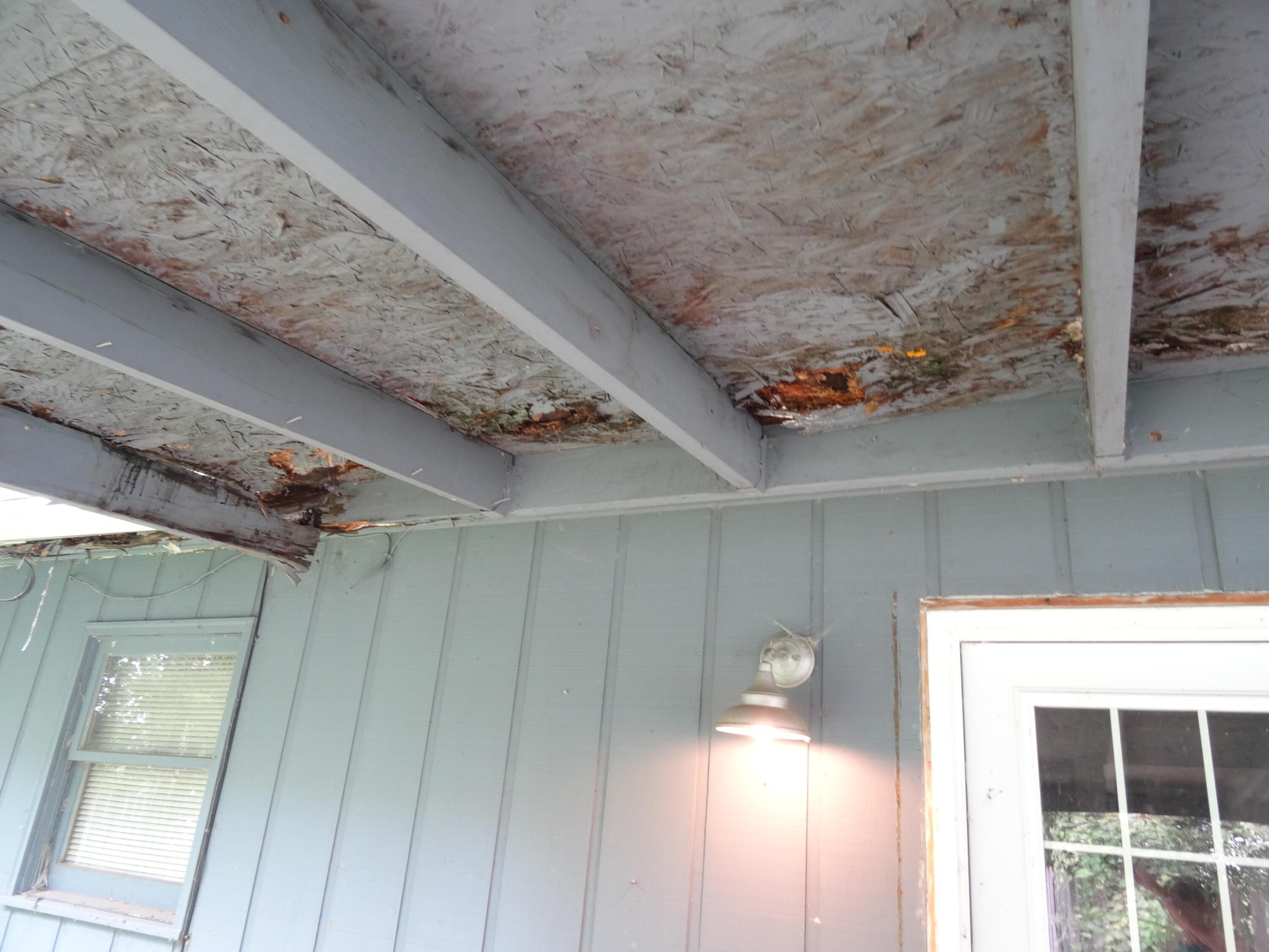 8 Willis Court Property Photo 6