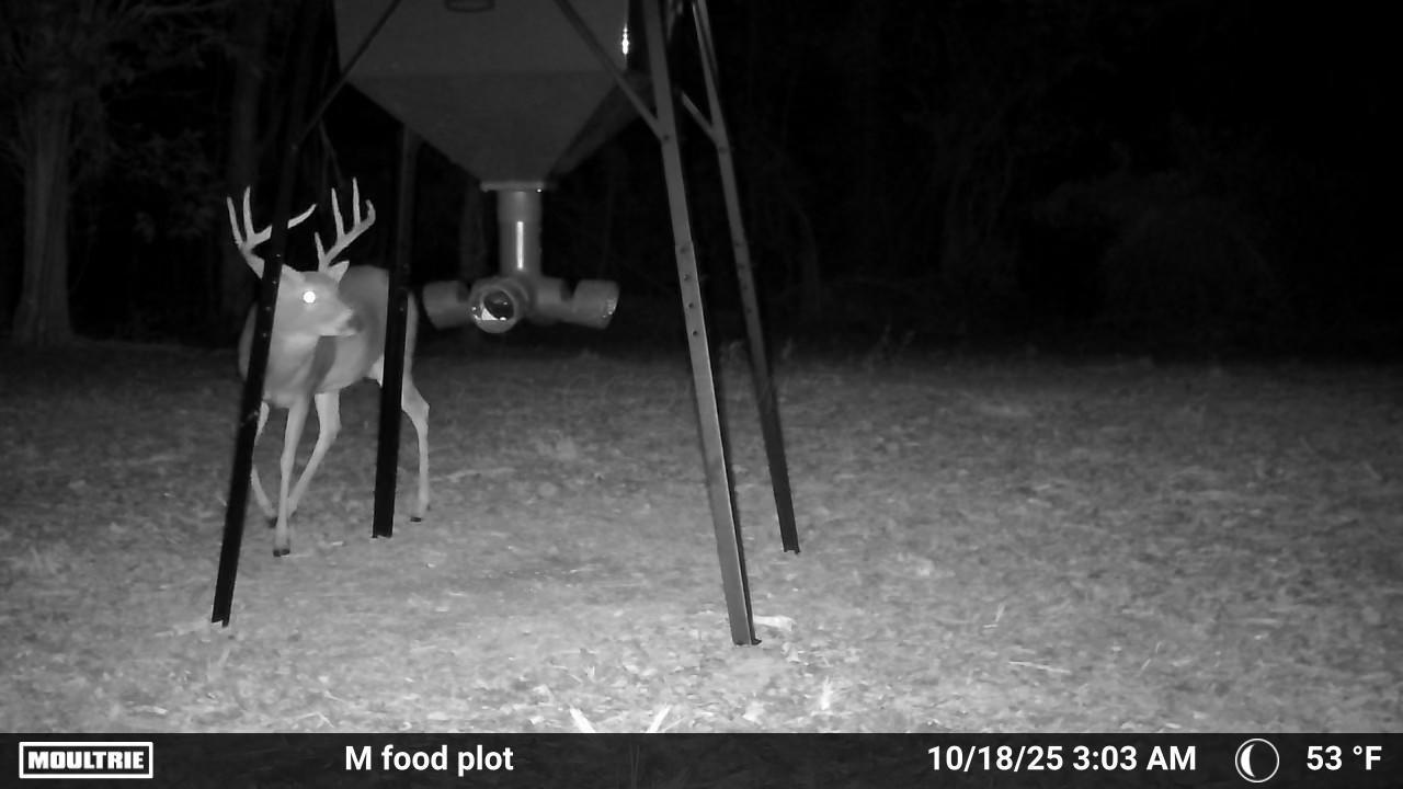 805 Wilma Lane Property Photo 27