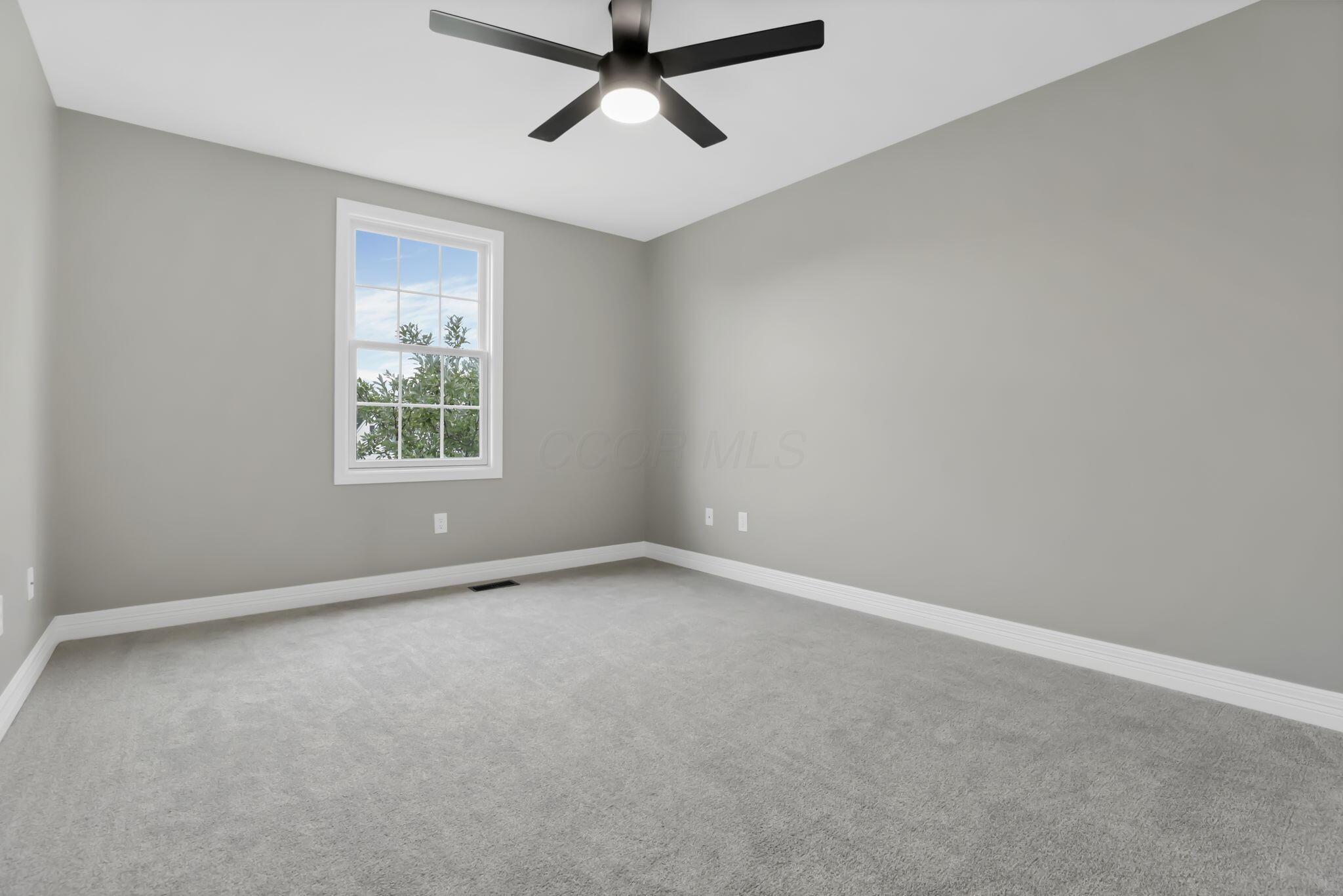 111 Longleaf Street Property Photo 43