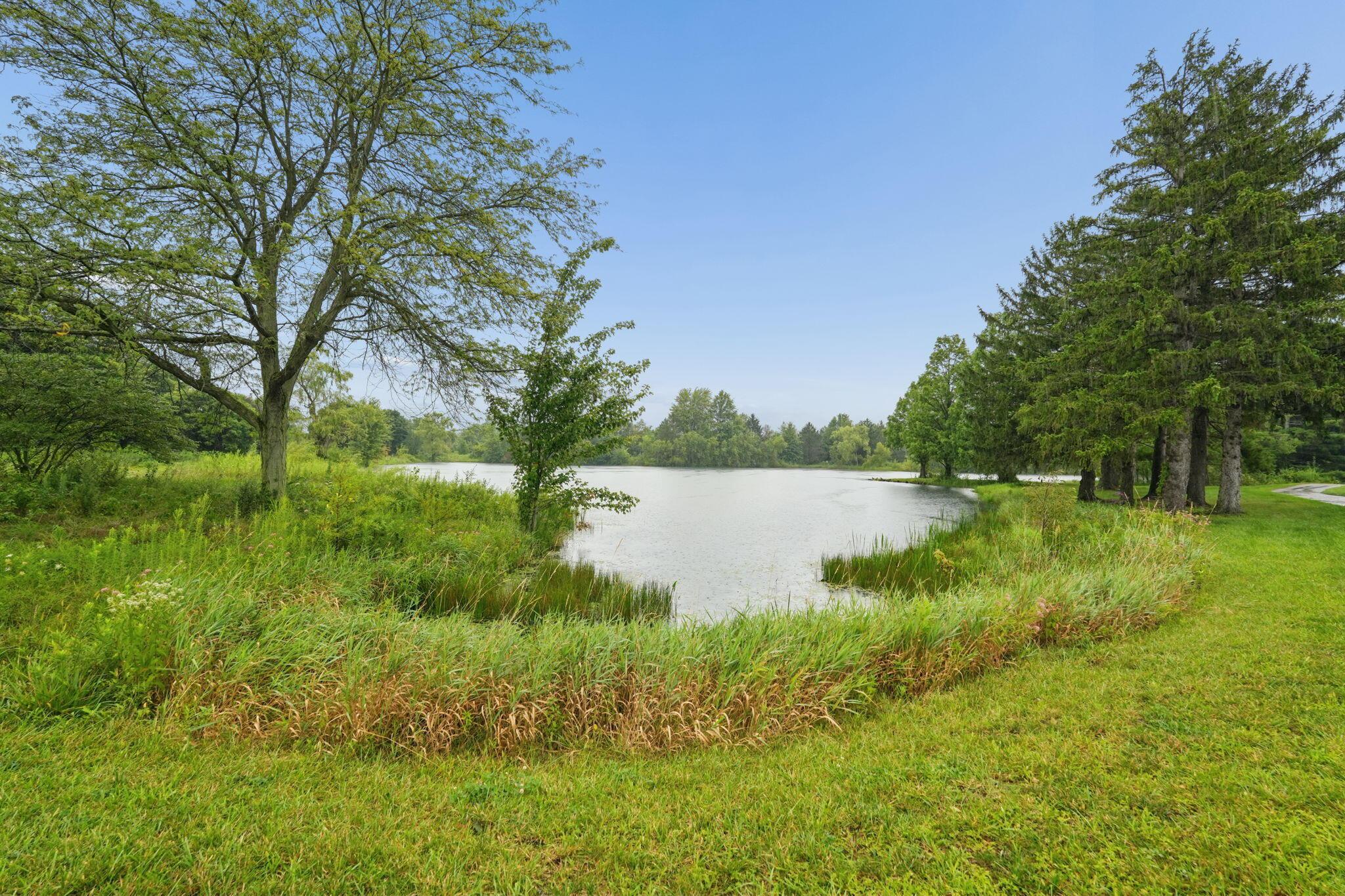 10228 Hyland Run Property Photo 42