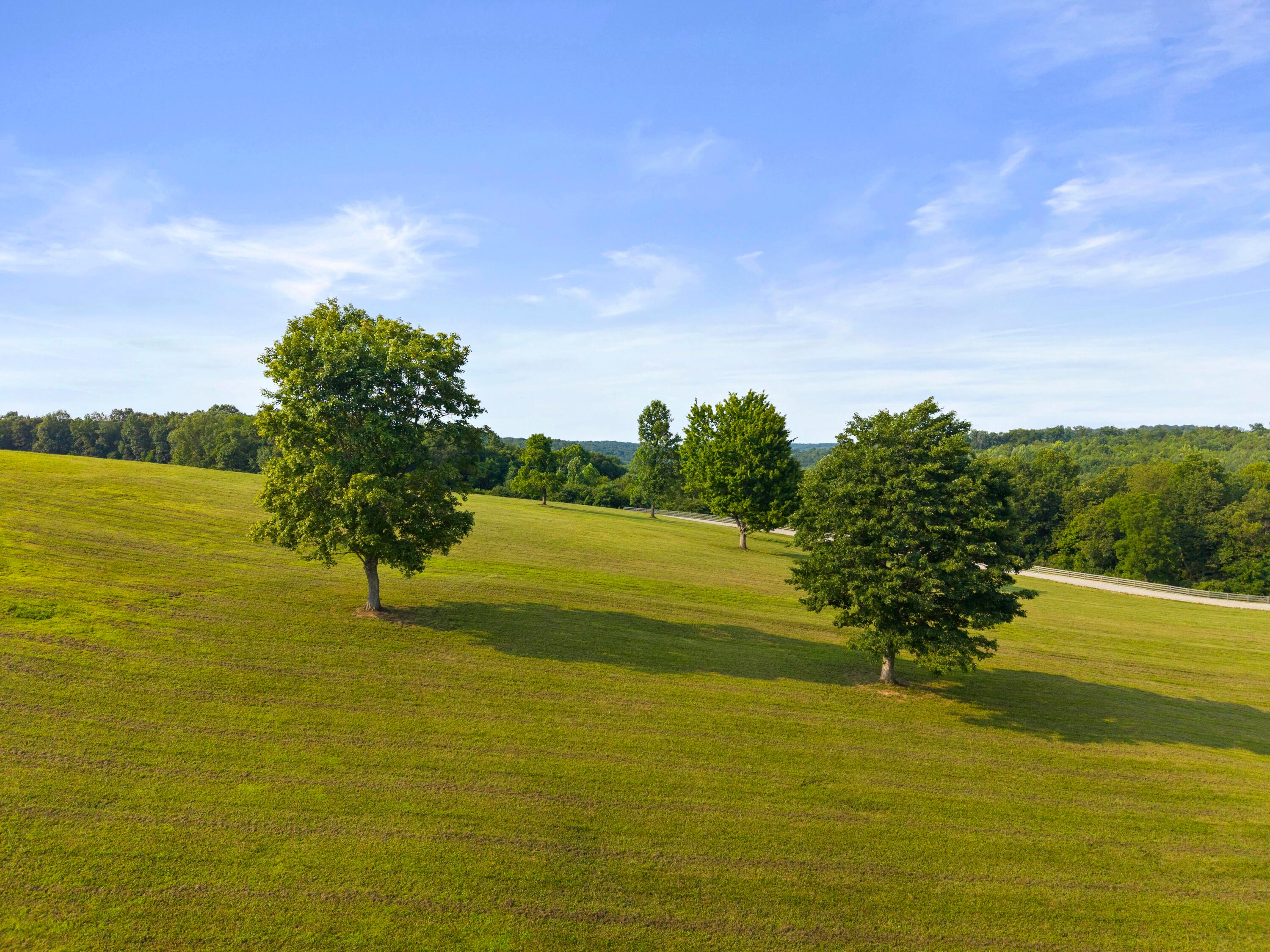 26711 State Route 328 Property Photo 140