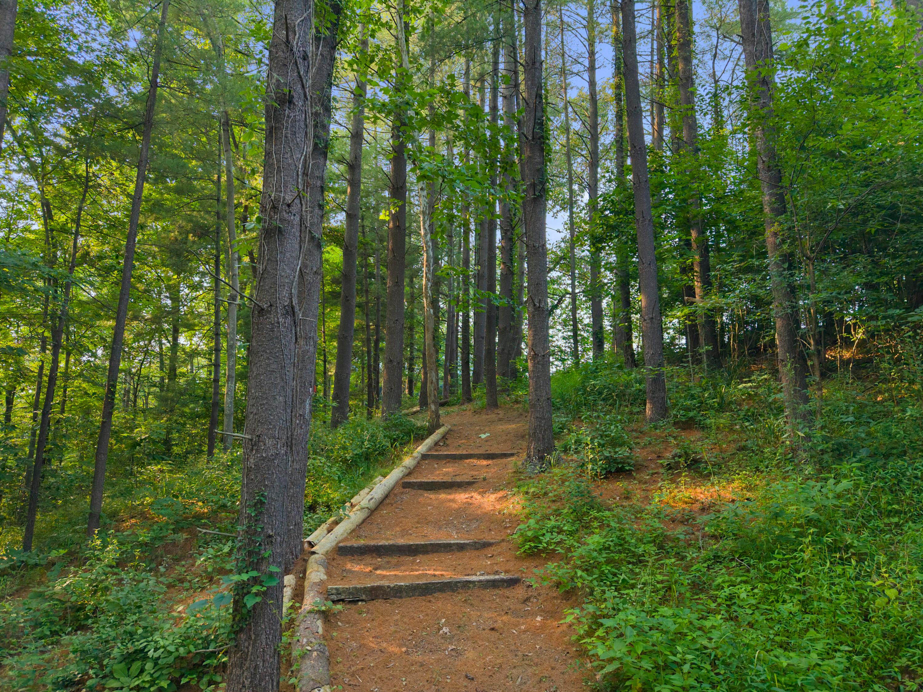 26711 State Route 328 Property Photo 146