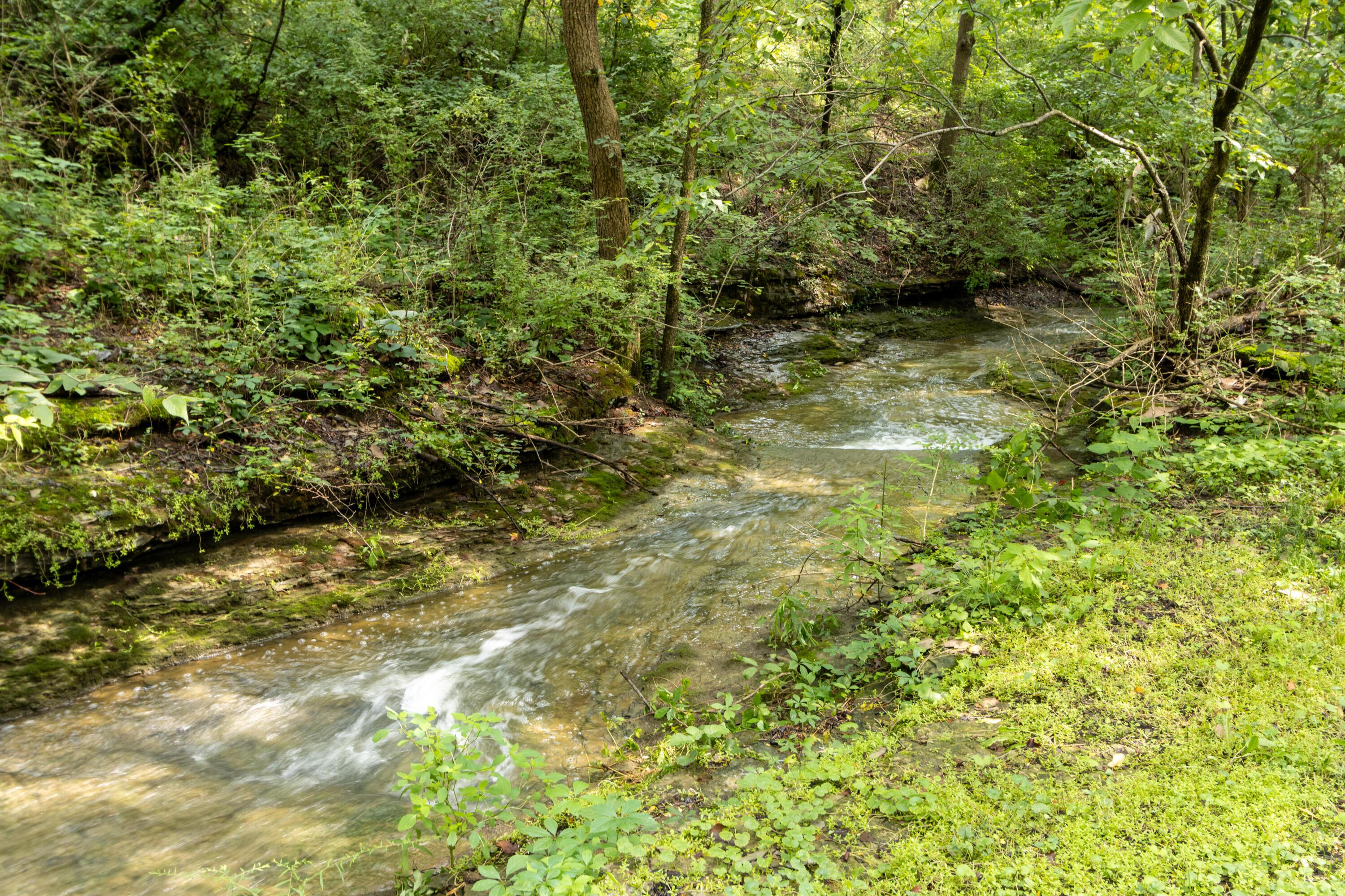 1560 Carriage Road Property Photo 61