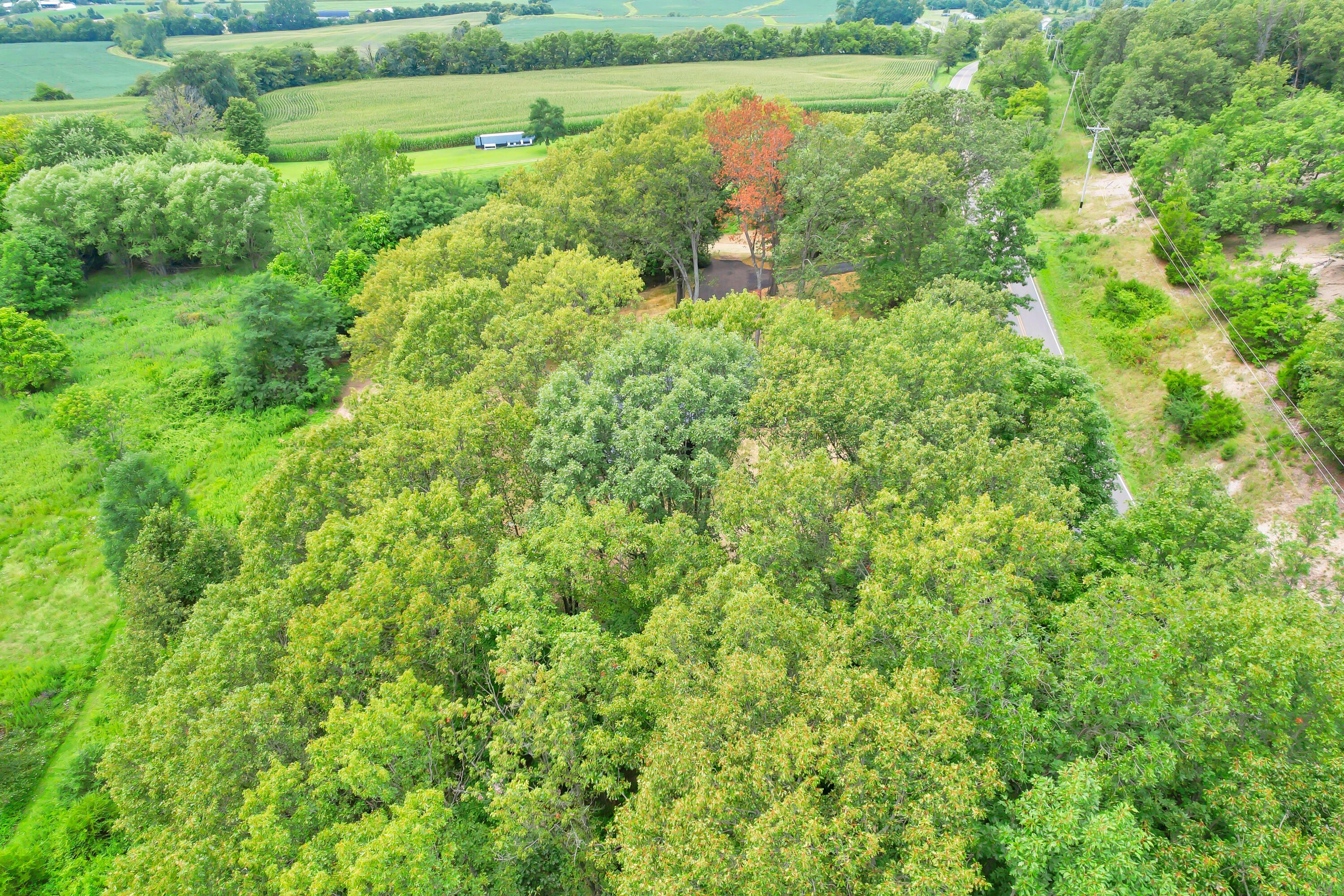 1438 Ragged Ridge Road Property Photo 51