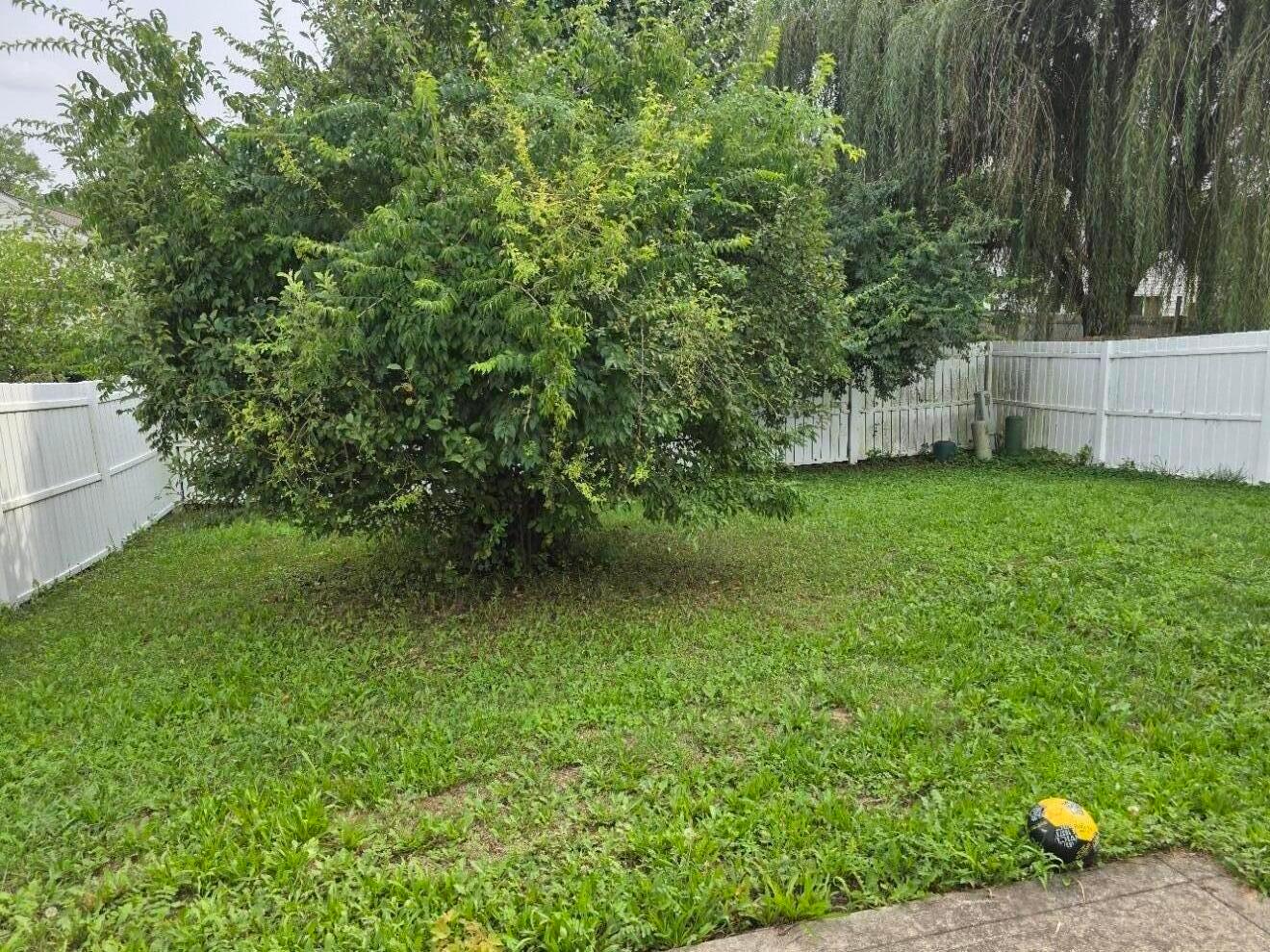 2049 Margo Road Property Photo 11