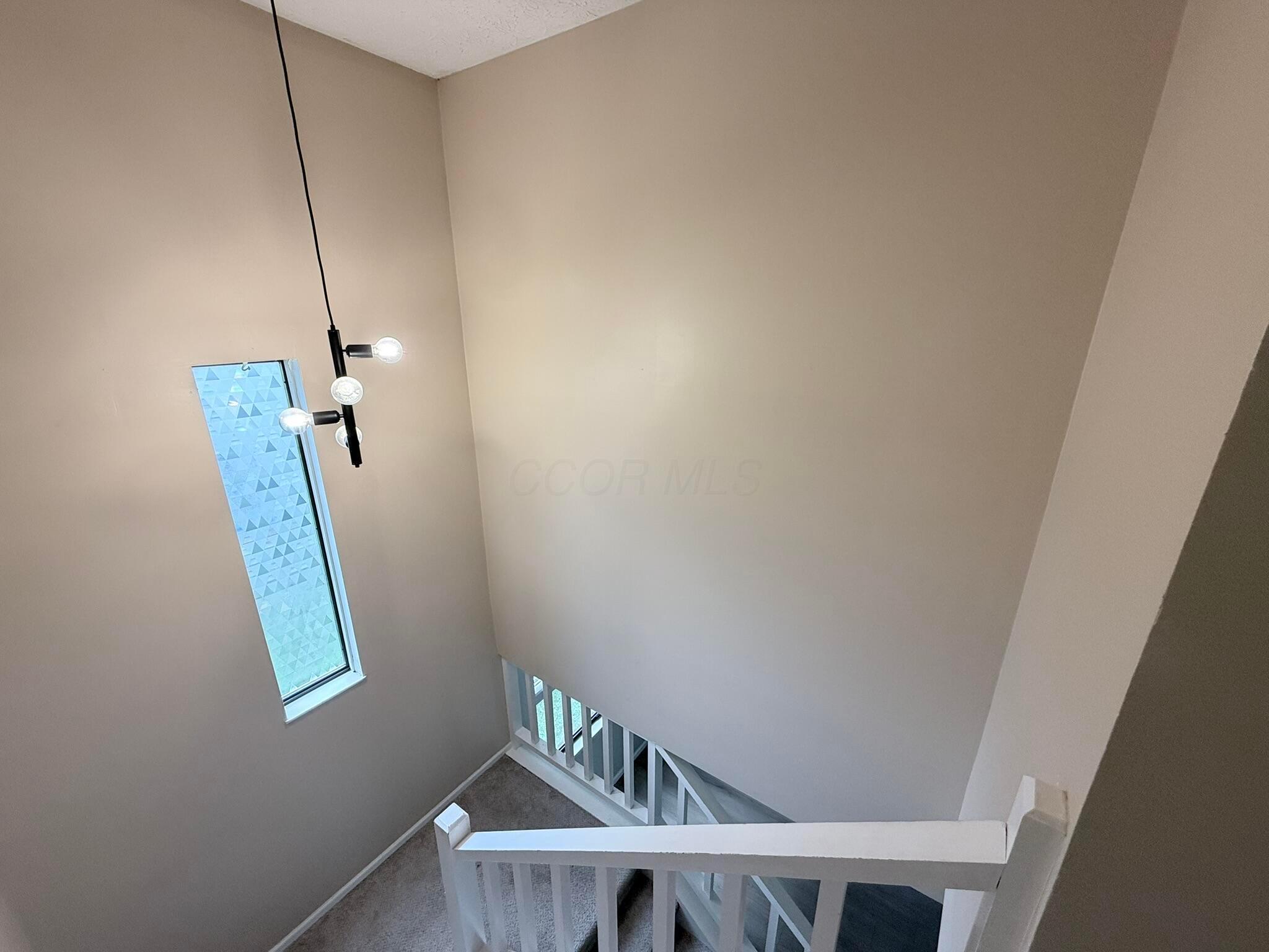 4849 Herndon Drive Property Photo 18