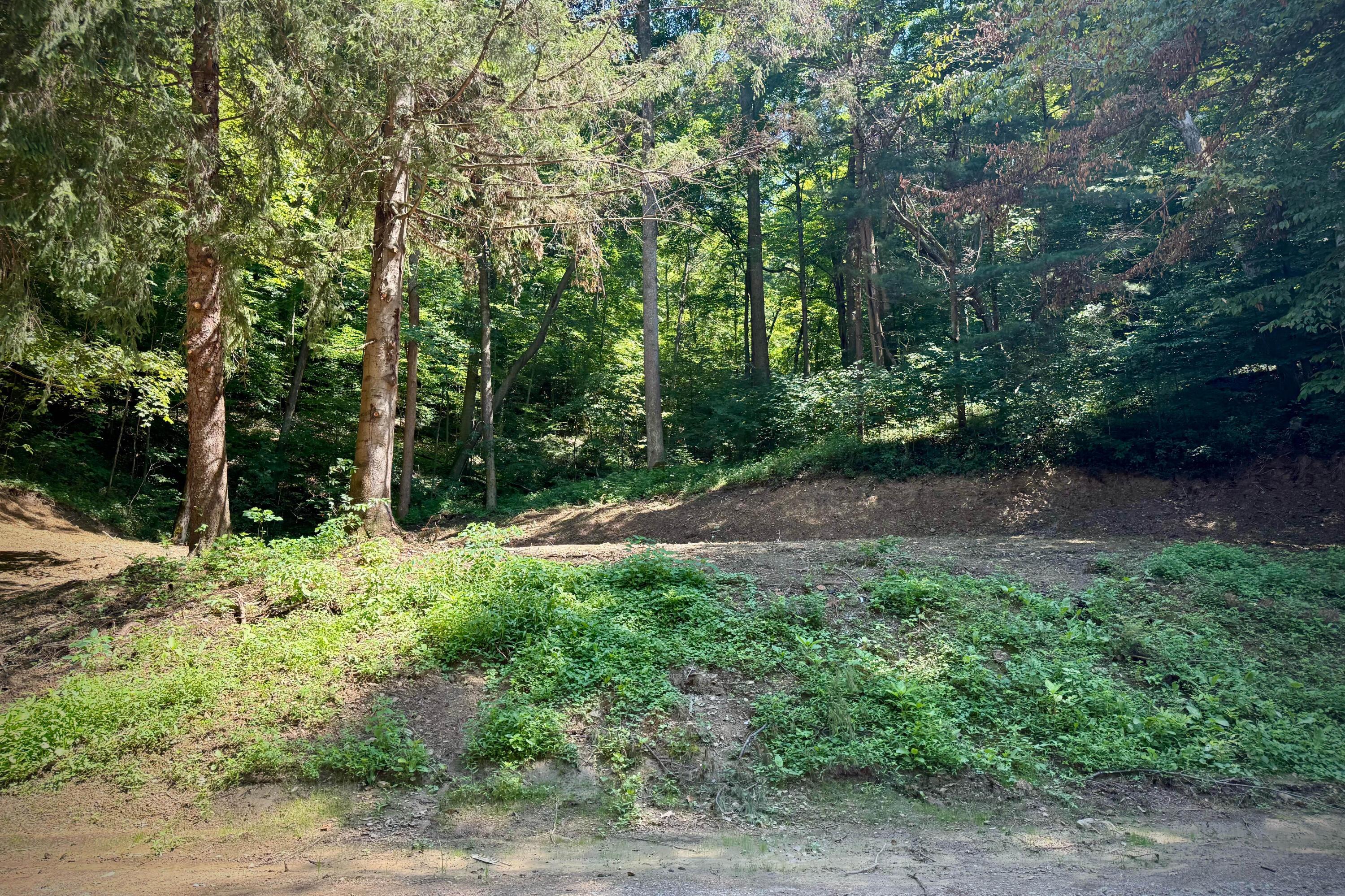 31700 Dixon Mill Road Property Photo 6