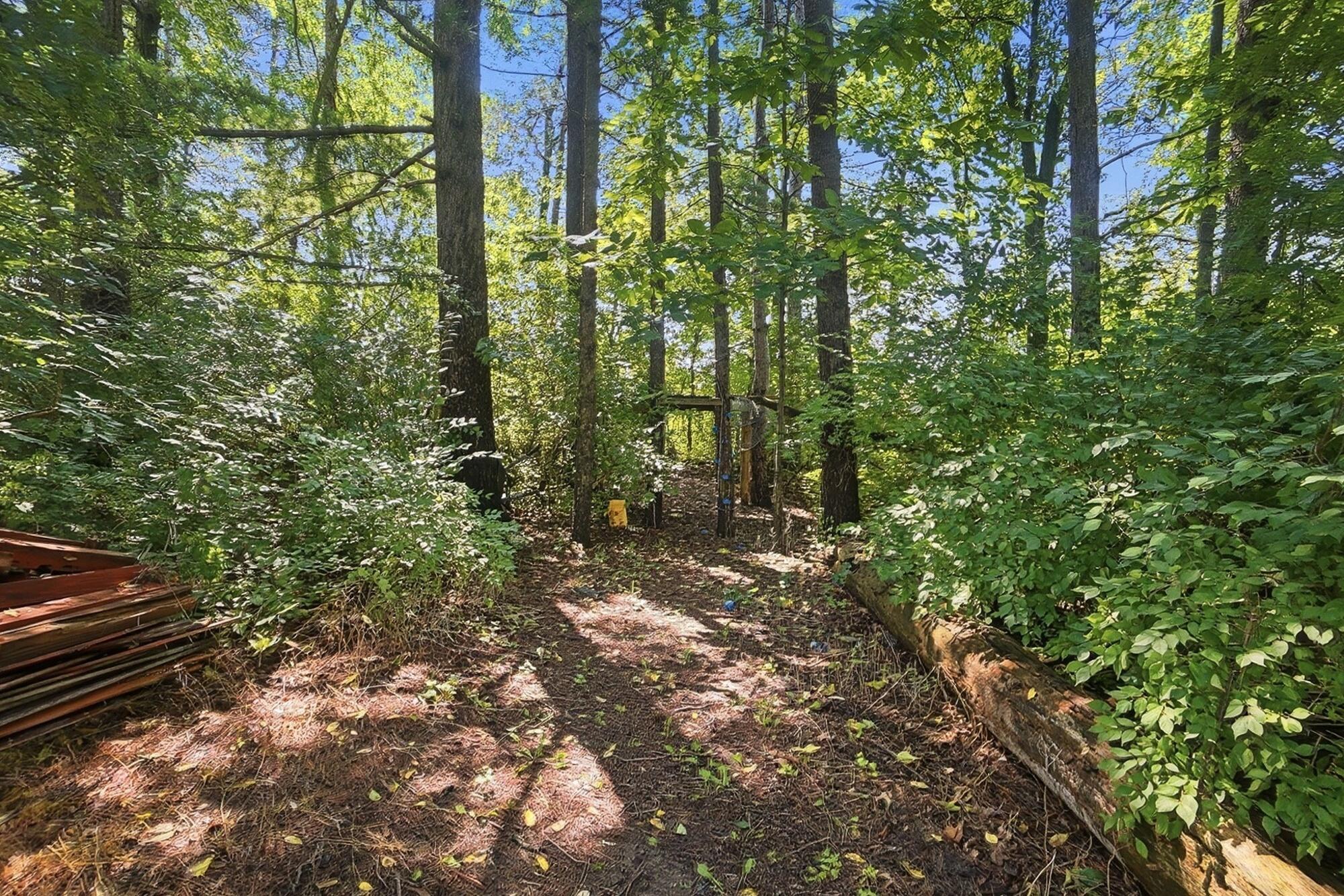 335 Shellbark Property Photo 68