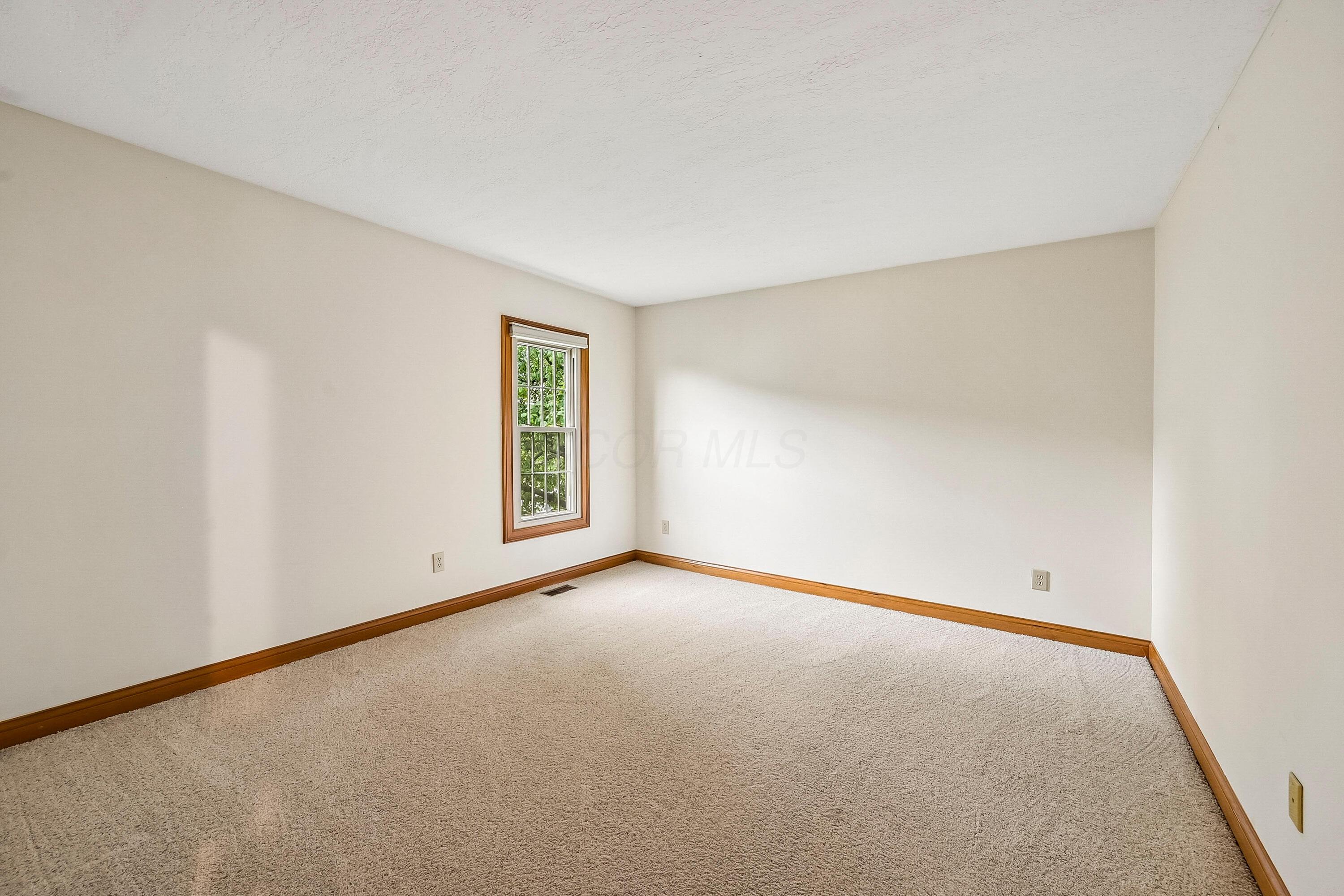 4542 Carrington Way Property Photo 8
