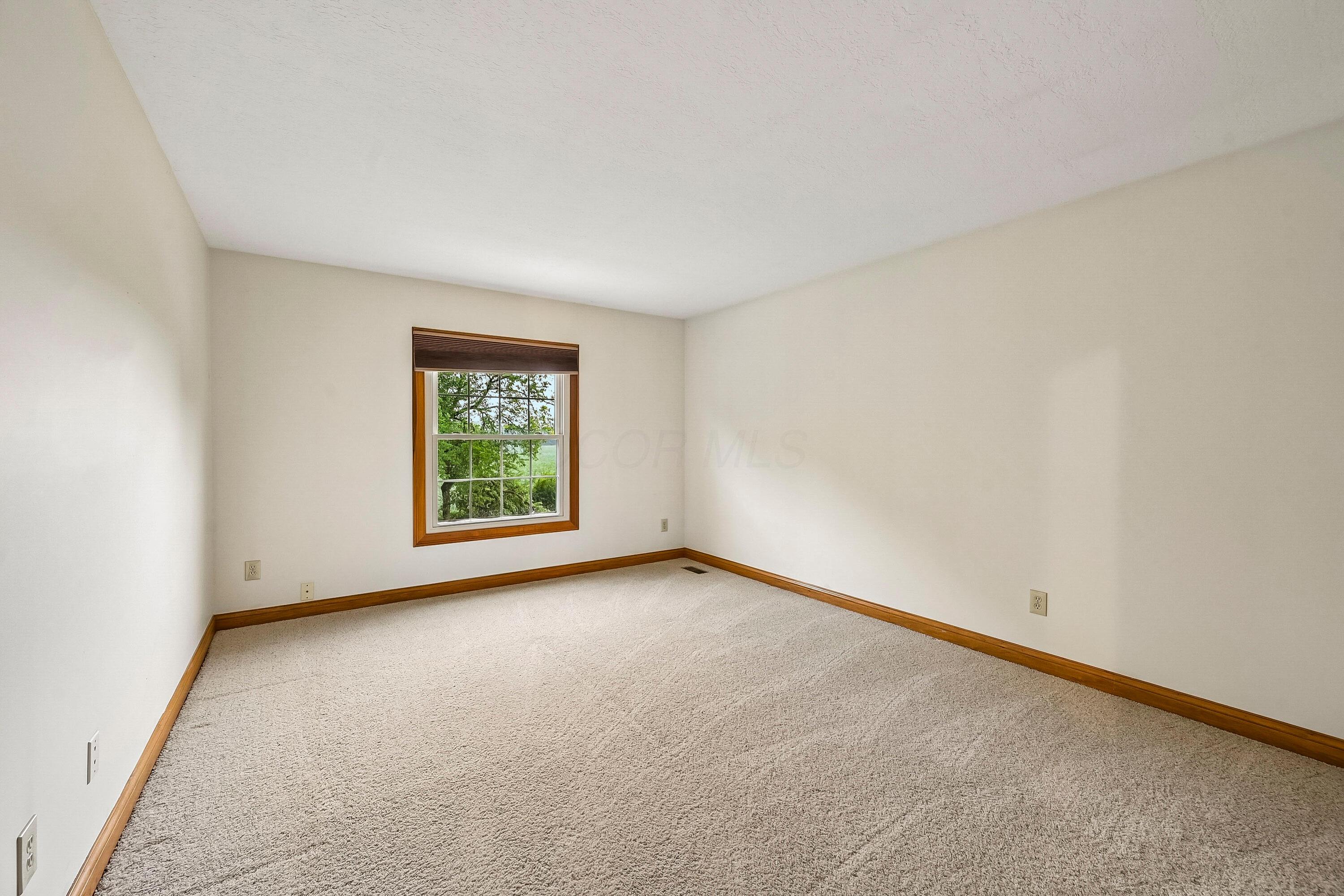 4542 Carrington Way Property Photo 28