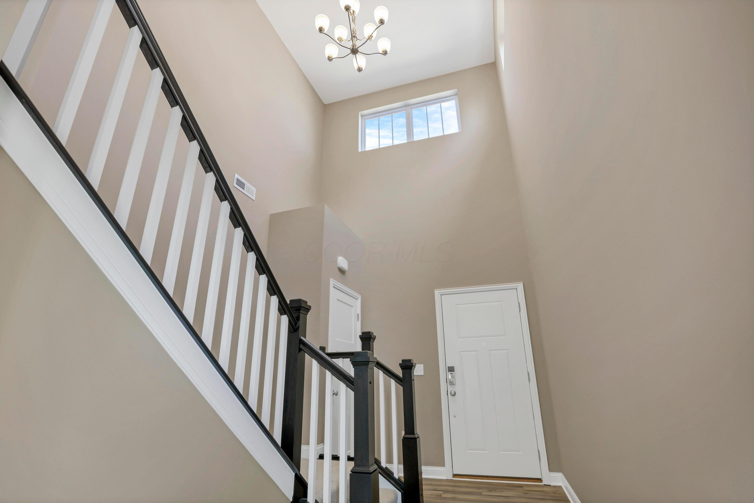 7309 Celebration Drive Property Photo 6