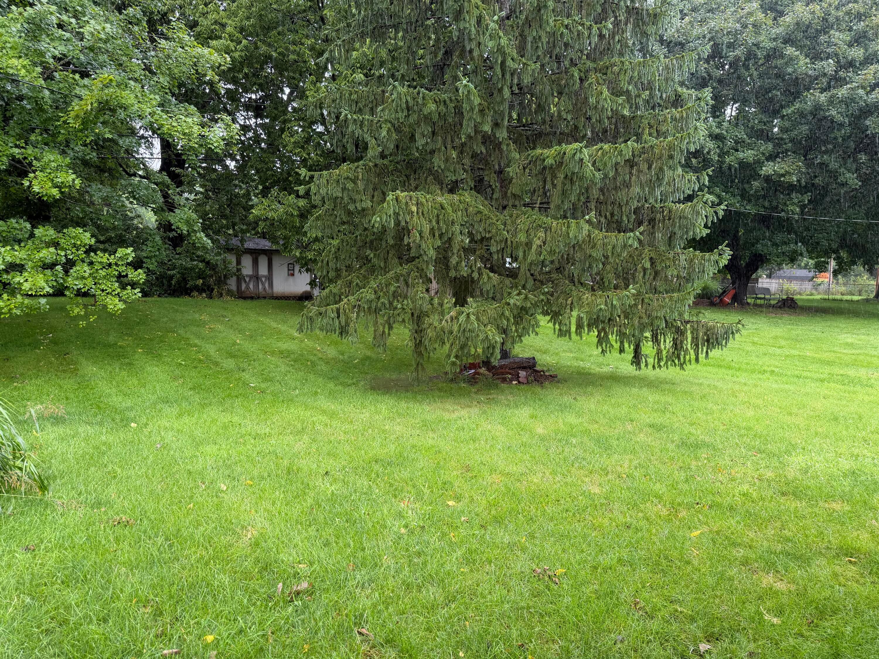 125 Lorraine Boulevard Property Photo 3