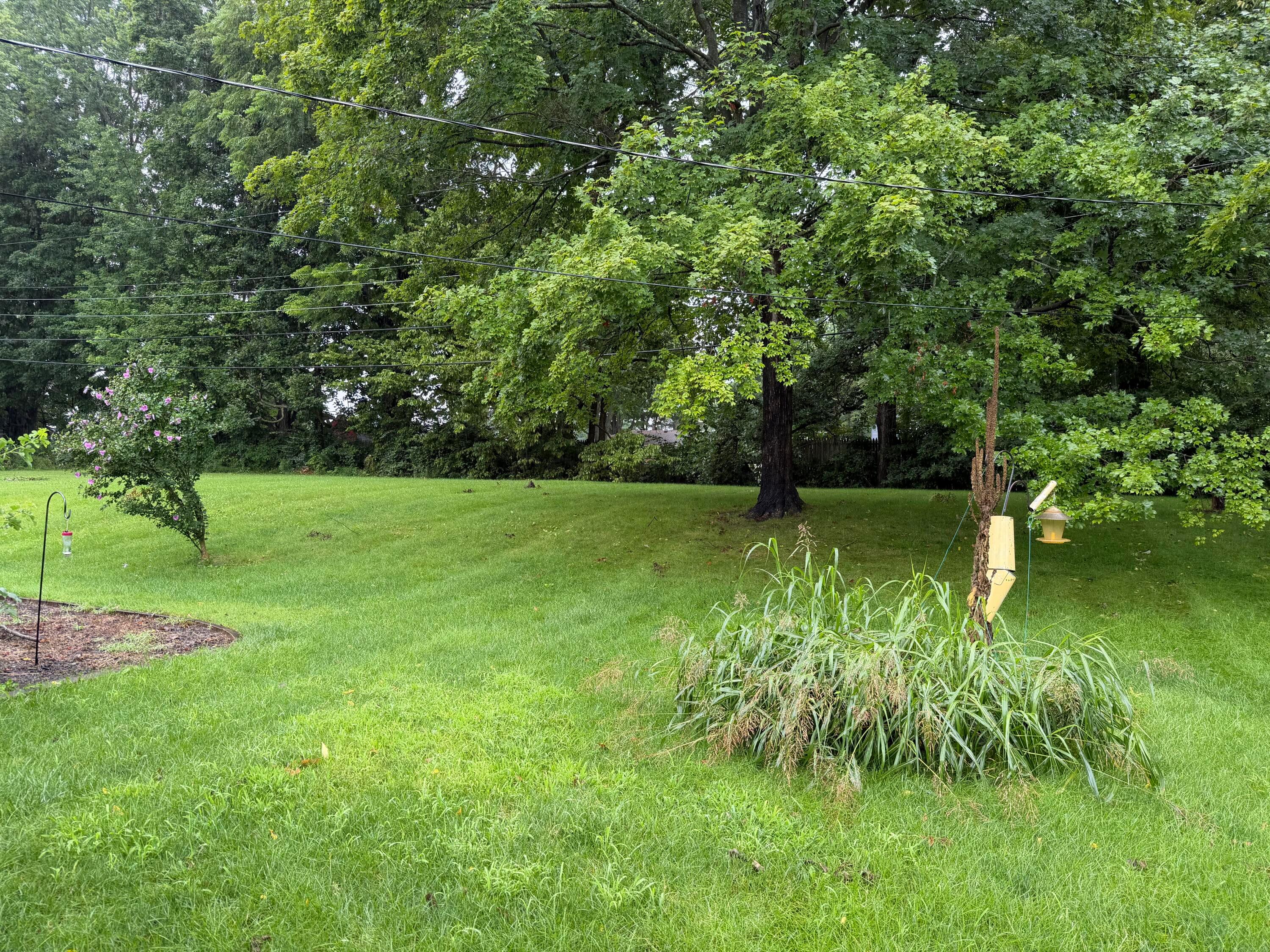 125 Lorraine Boulevard Property Photo 12