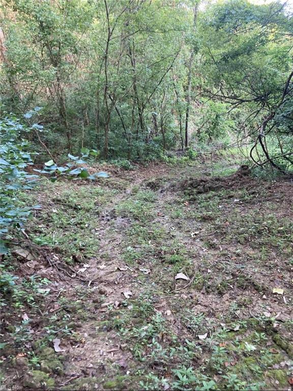 0 Tr 300, Davis Ridge Road Property Photo 18